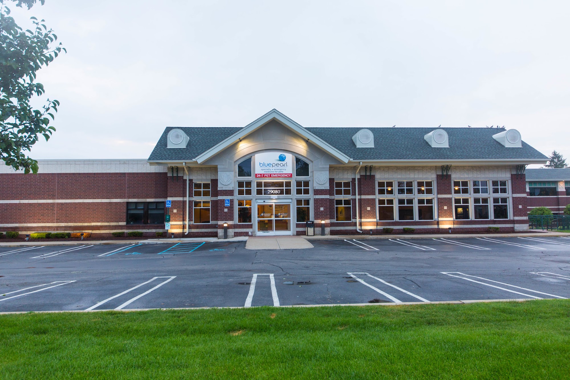 BluePearl Pet Hospital Southfield
