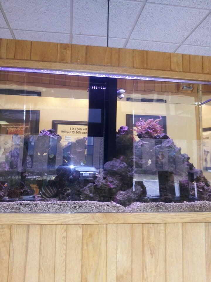 Greenfield Animal Hospital: Zerbel J DVM Southfield