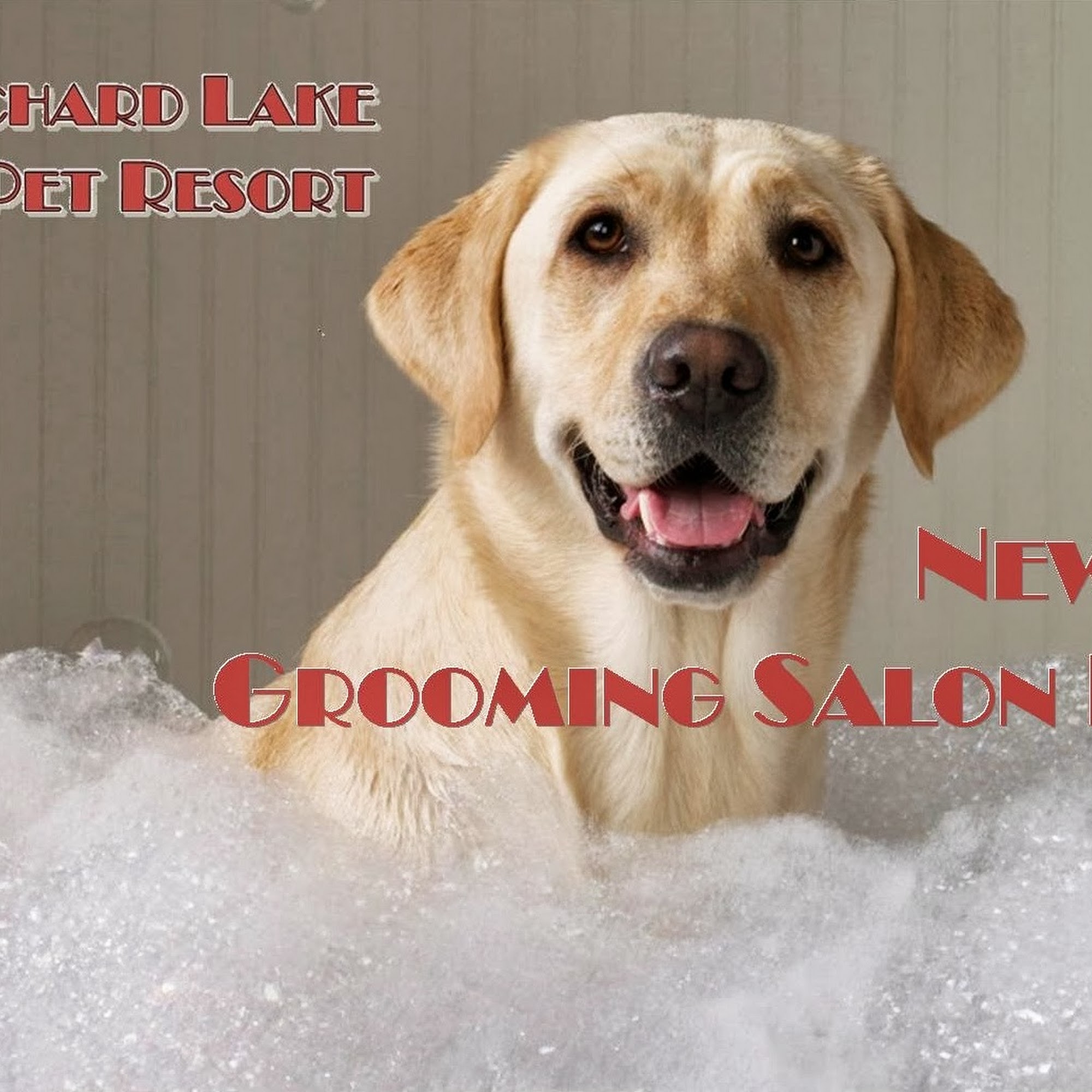 Orchard Lake Pet Resort Southfield