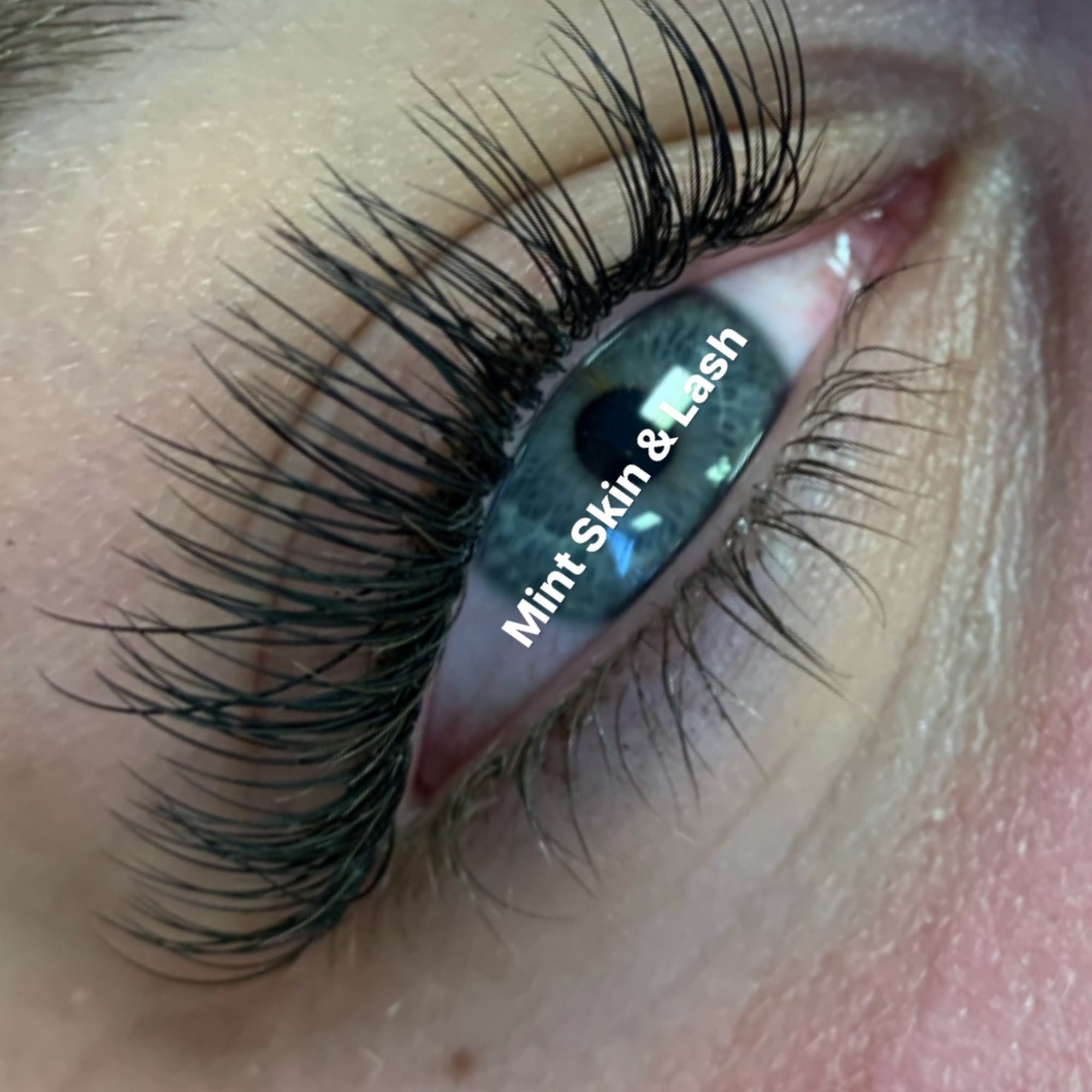 MINT. Skin & Lash Bar 15565 Northland Dr Suite 801w, Southfield Michigan 48075