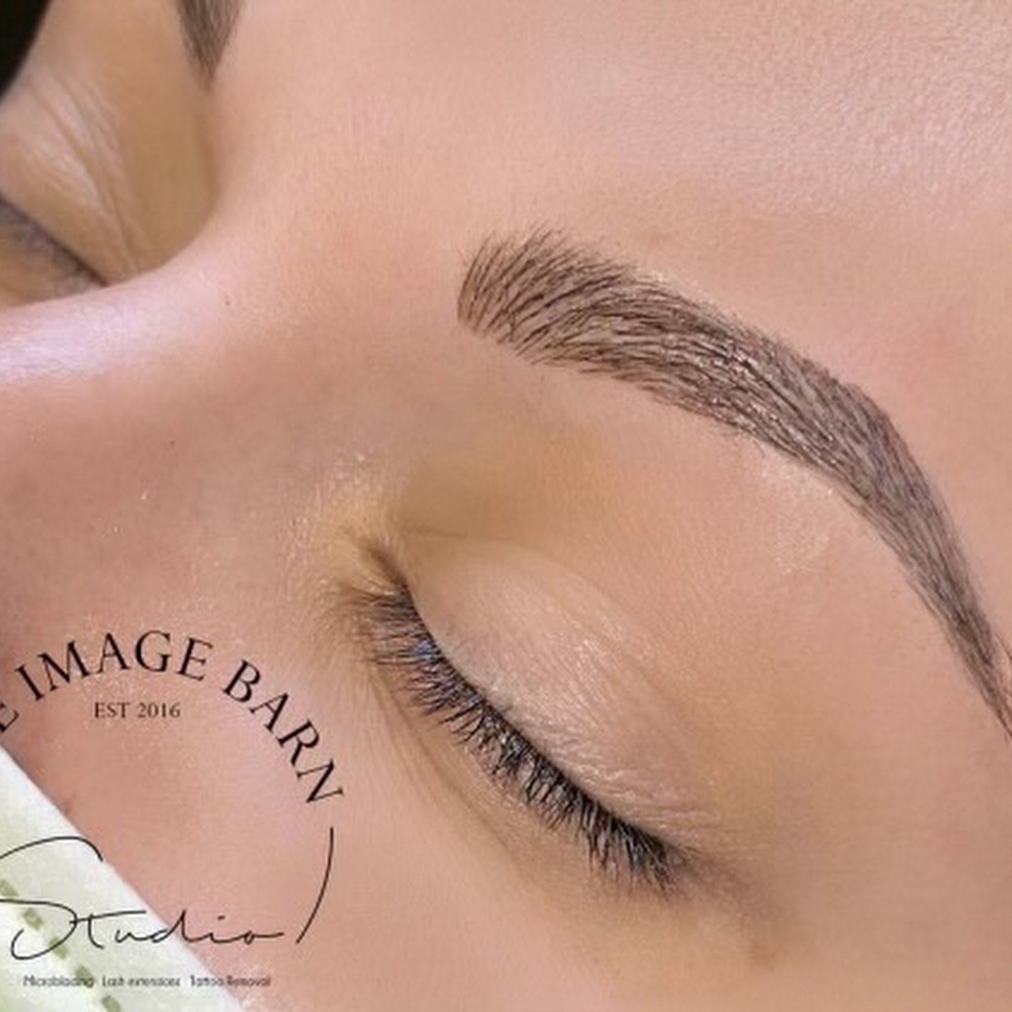 The Image Barn/The Image Academy-Permanent Makeup, Tattoos, Microblading, Lashes, Tattoo Removal & Permanent Makeup Training 21110 29 1/2 Mile Rd, Springport Michigan 49284
