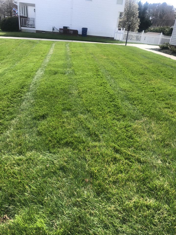 Mike & Sons Lawn Care/Landscaping