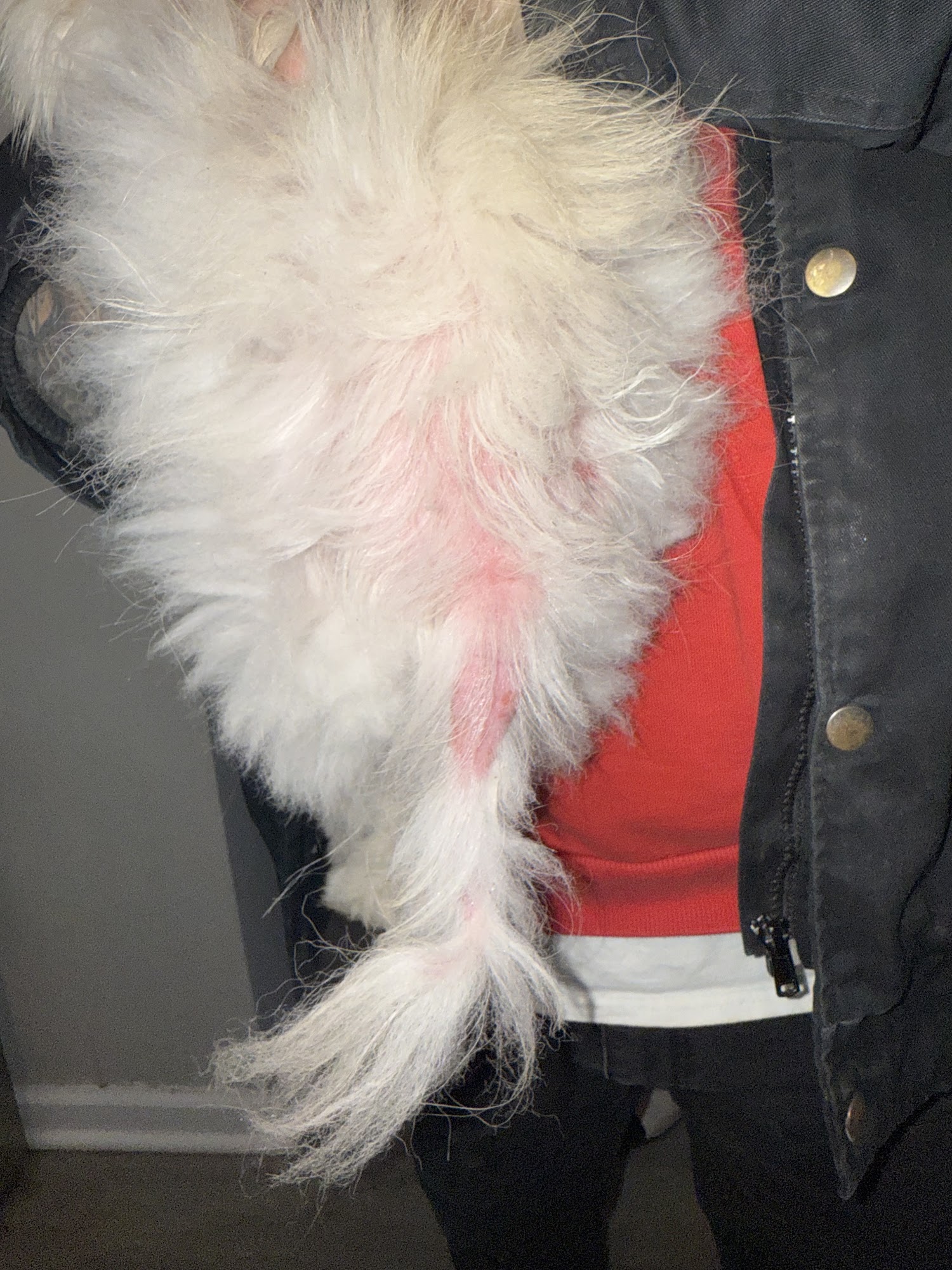 Pet Supplies Plus St. Clair Shores - Greater Mack St. Clair Shores