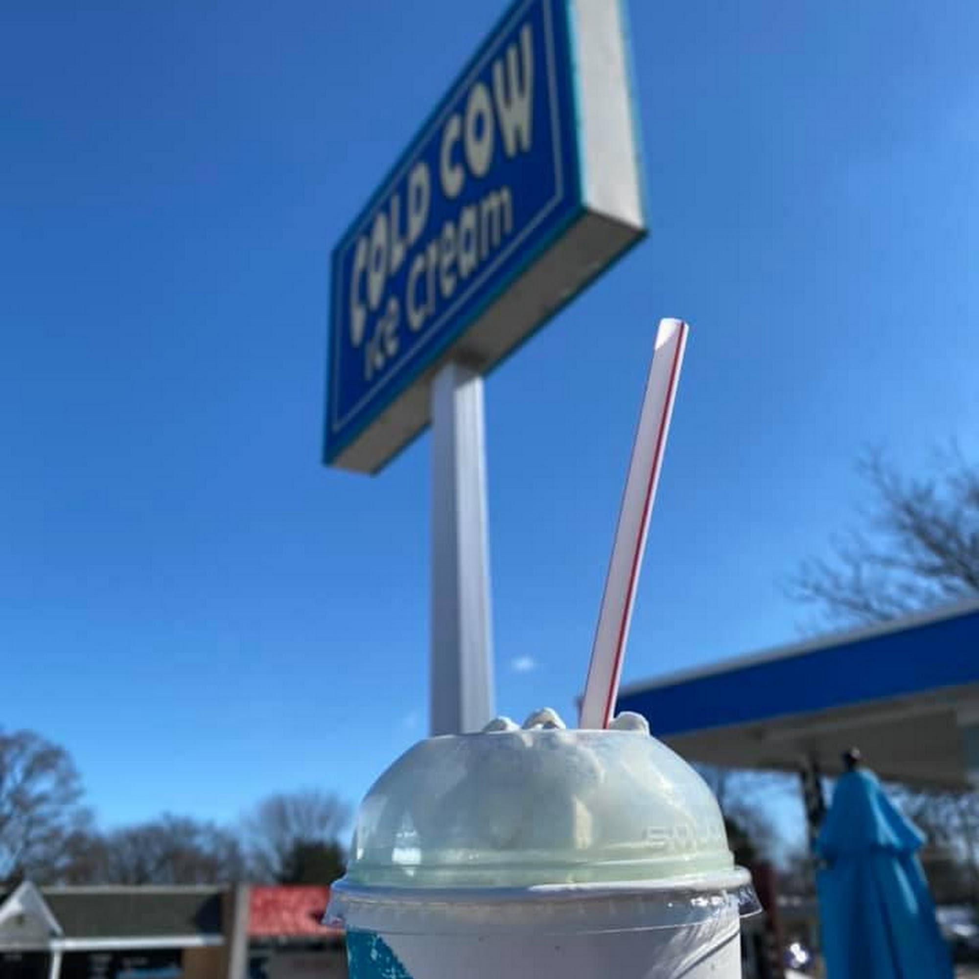 Cold Cow Ice Cream St. Clair Shores