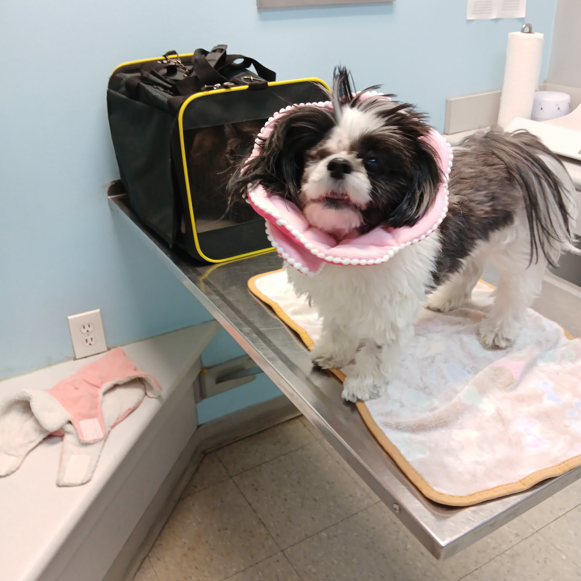 Bubbles N' Barks St. Clair Shores