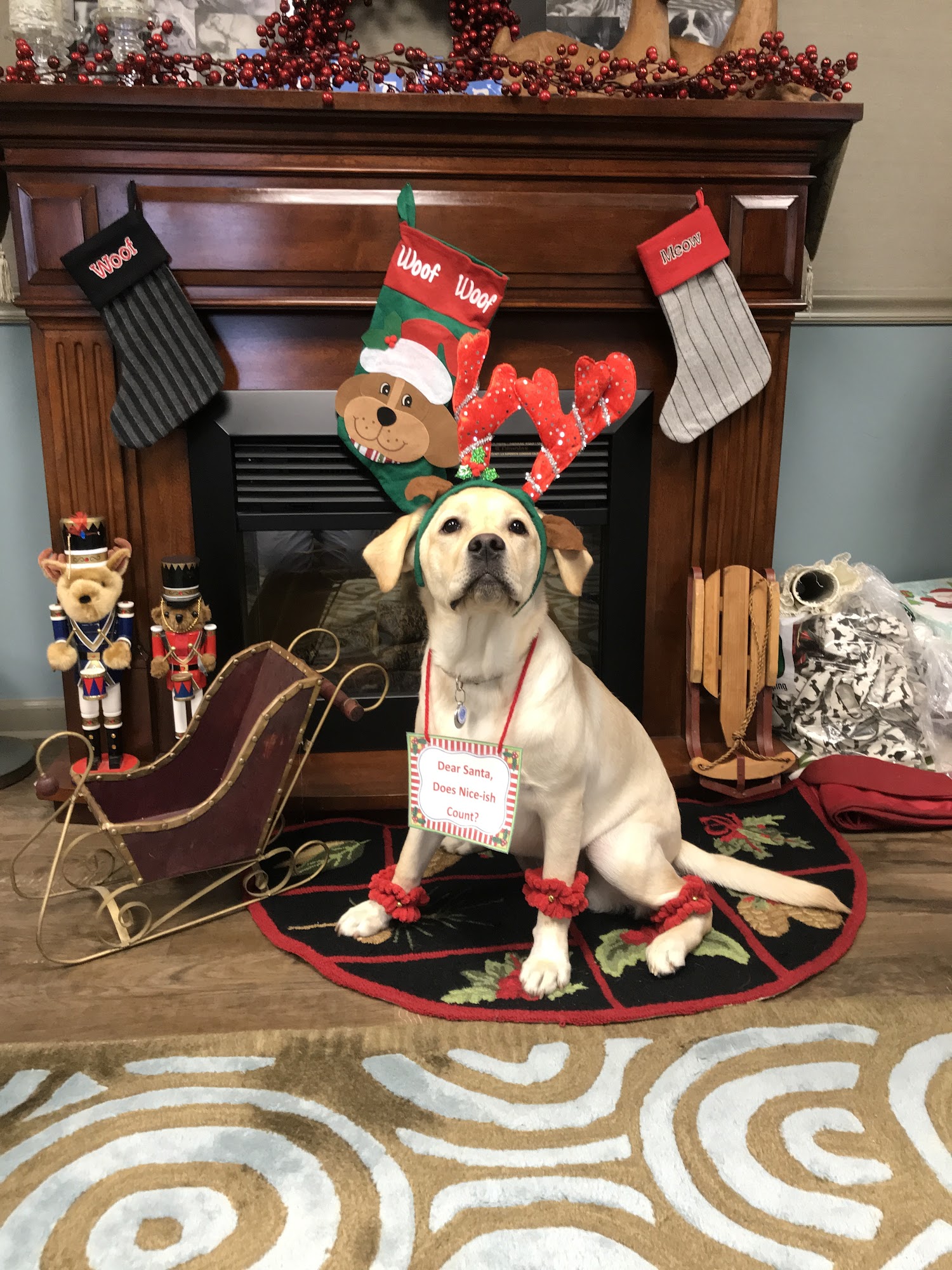 American Pets Inn St. Clair Shores