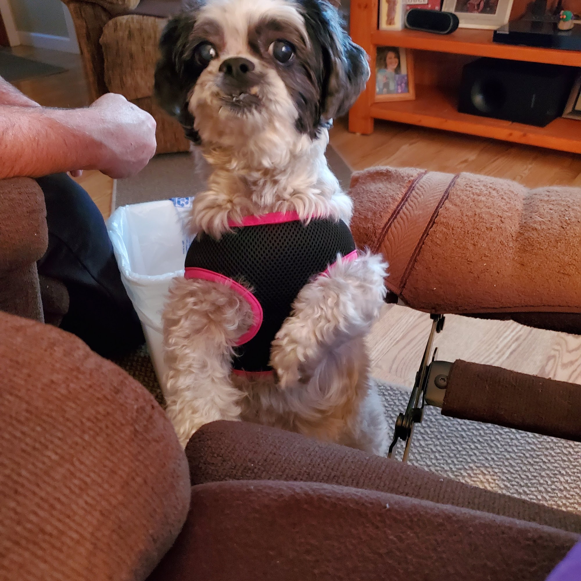 Arenac-Bay Veterinary Services Standish