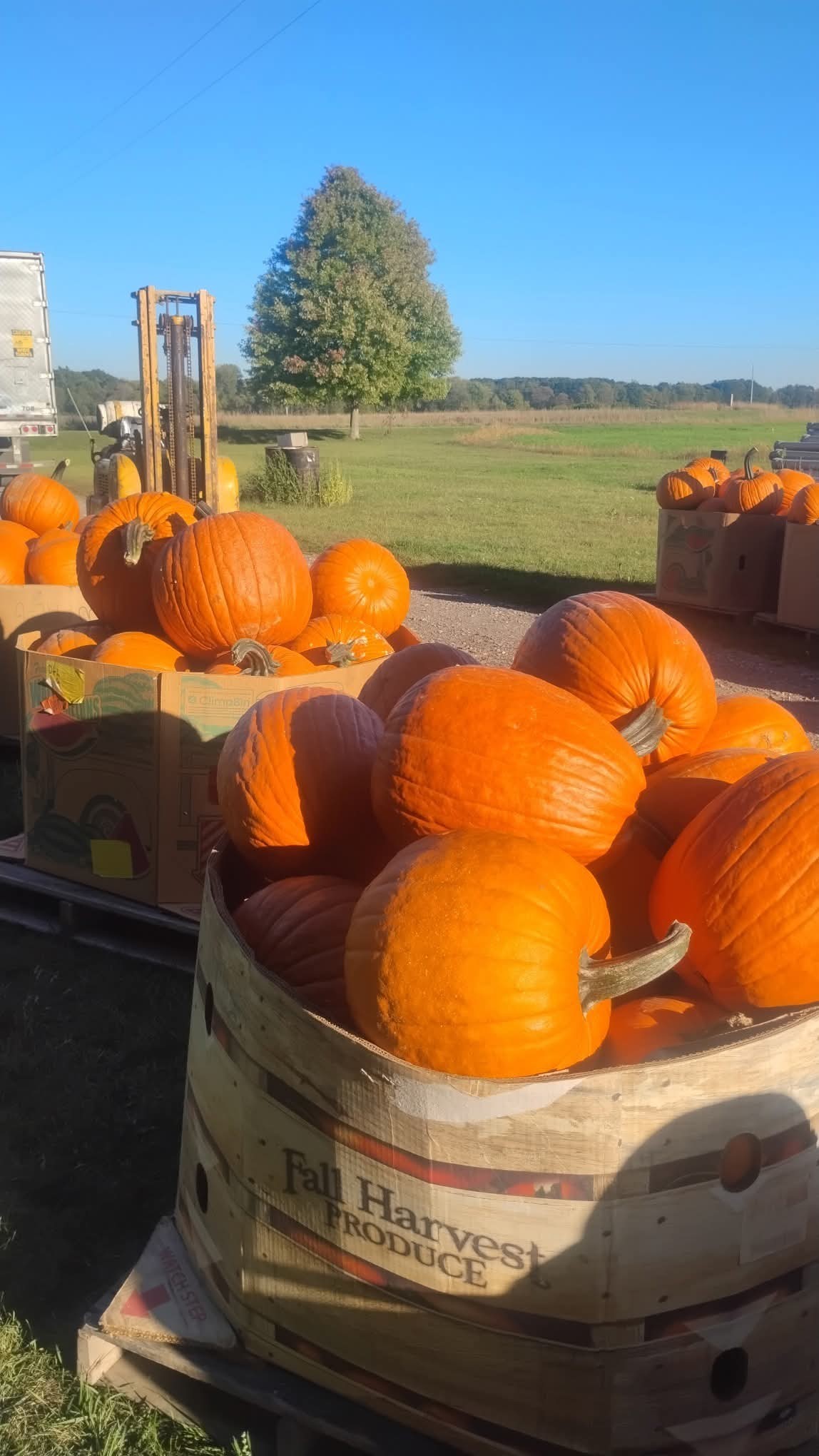 Perk?s Produce Farm Stanton