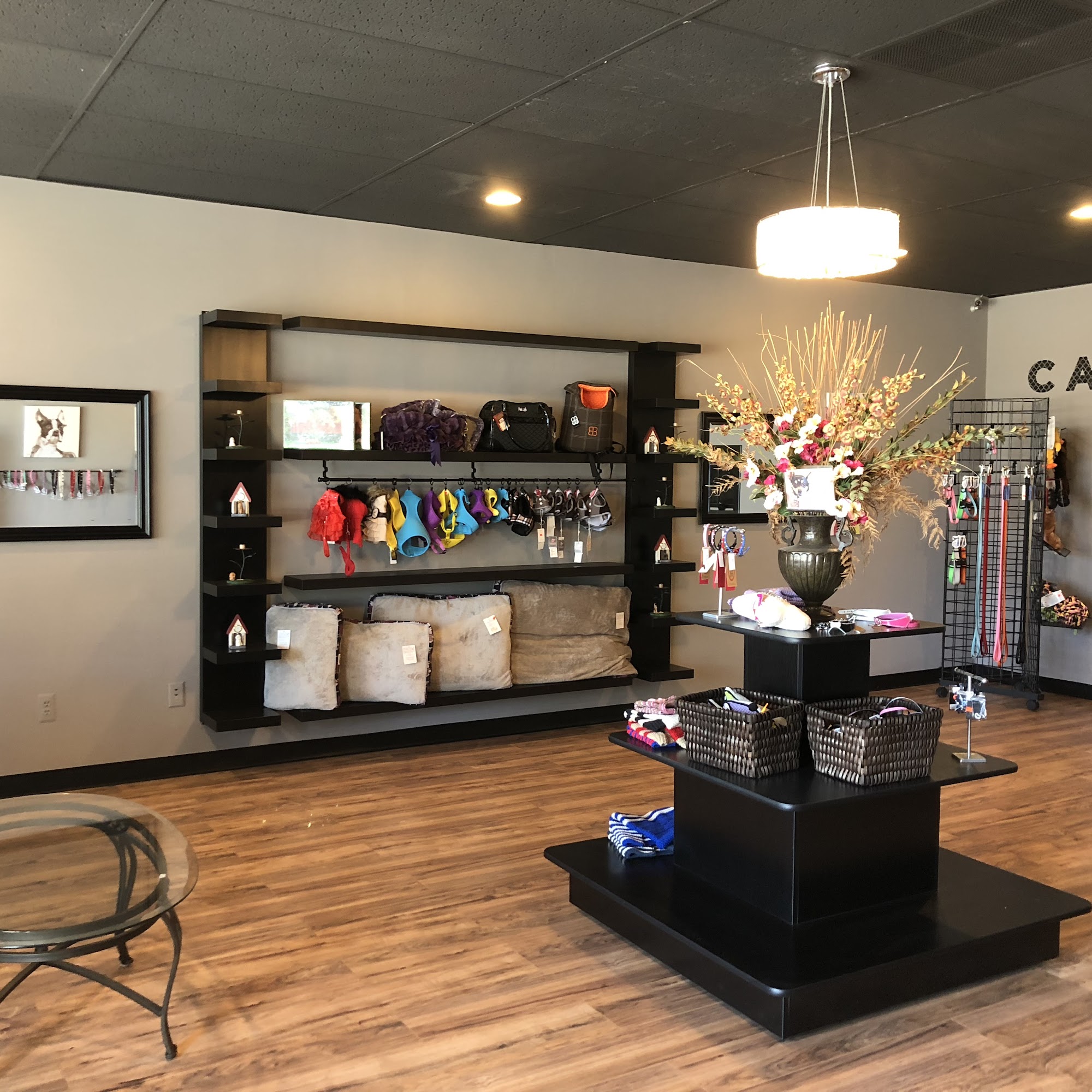 Canine Divine professional Dog Grooming Sterling Heights