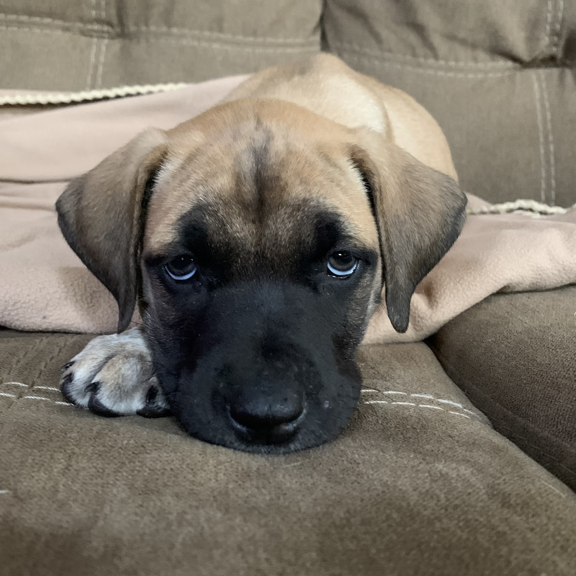 The Ultimate Place Sterling Heights