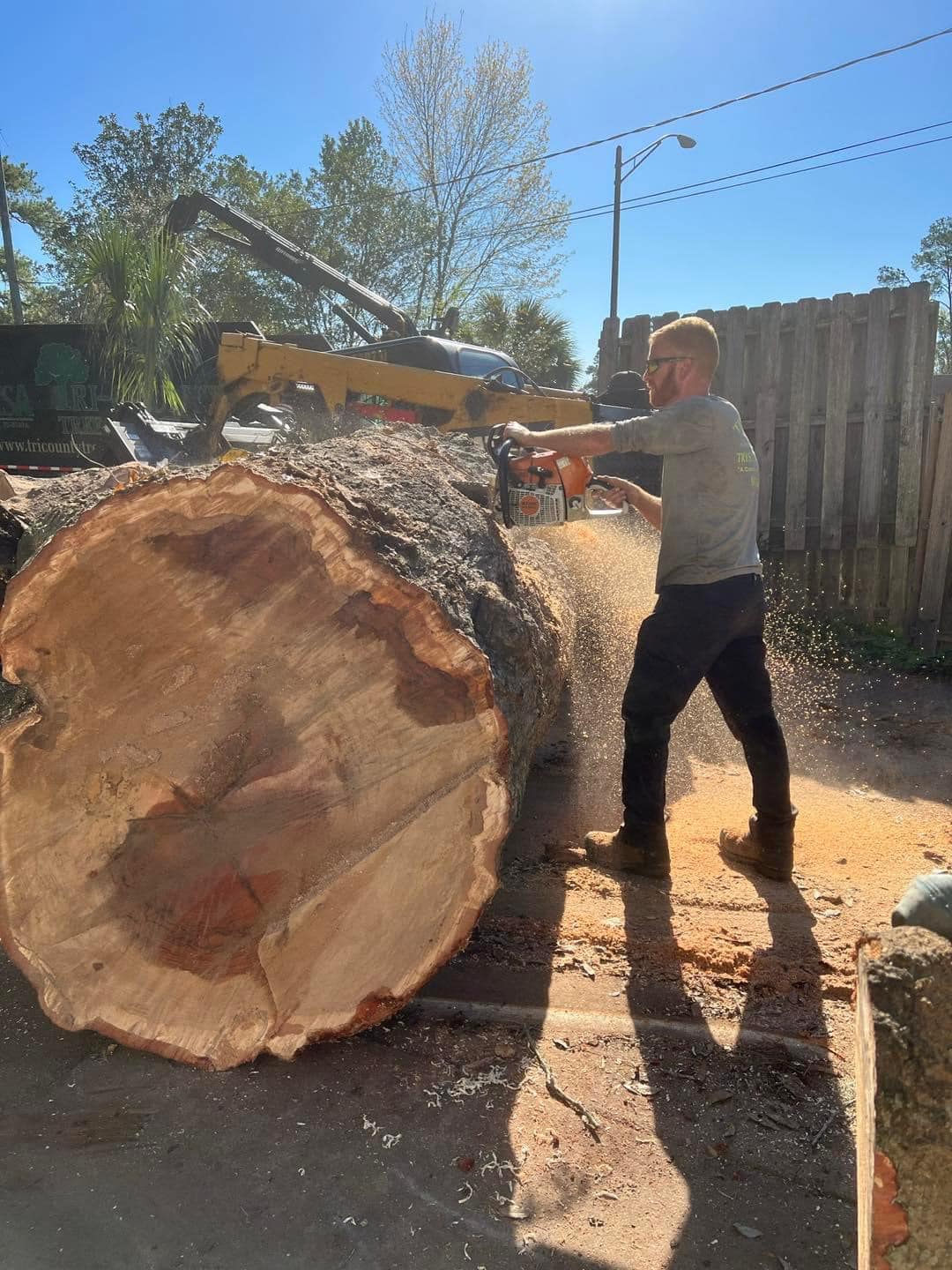 Tri County Tree Experts