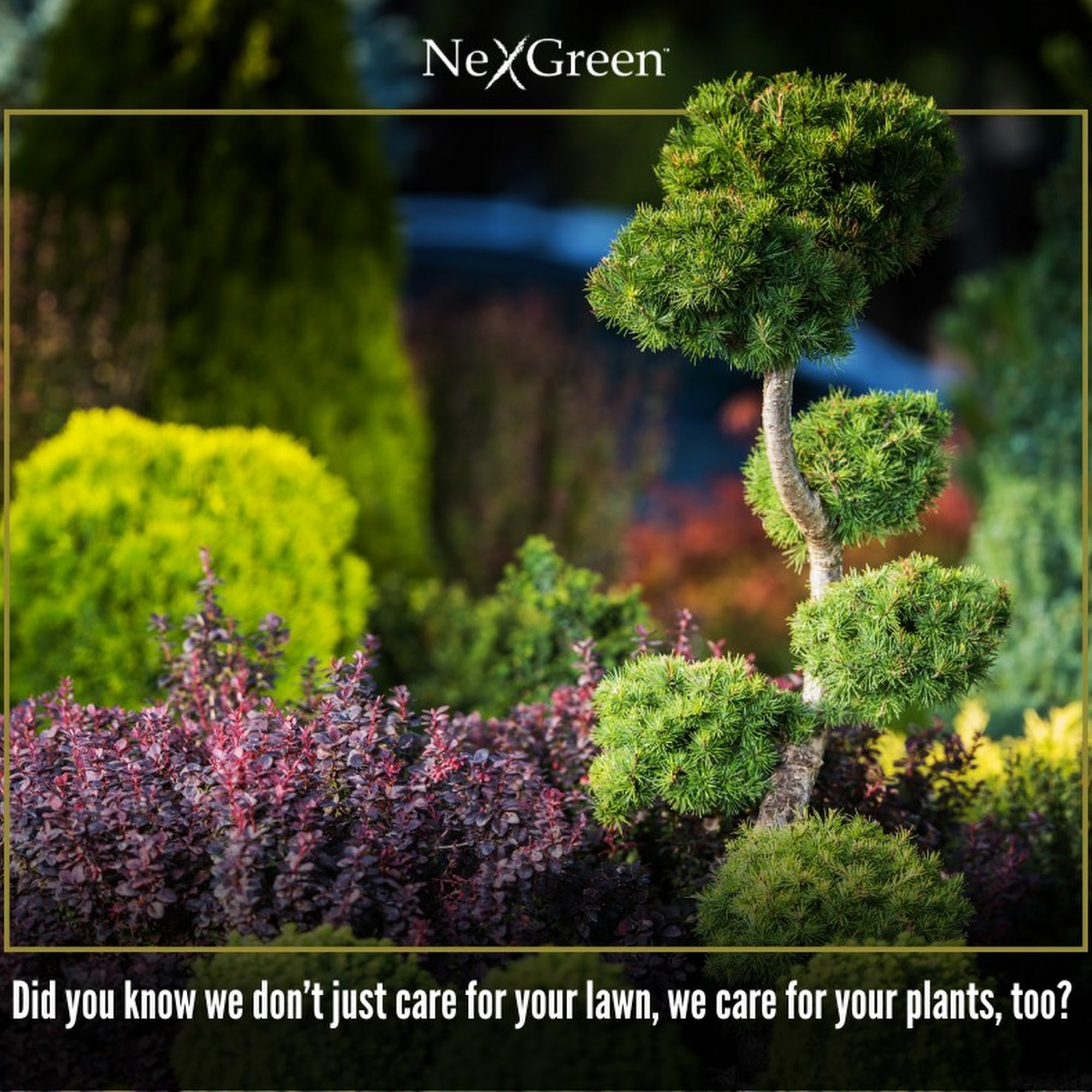 NexGreen Lawn Tree and Exterior Pest