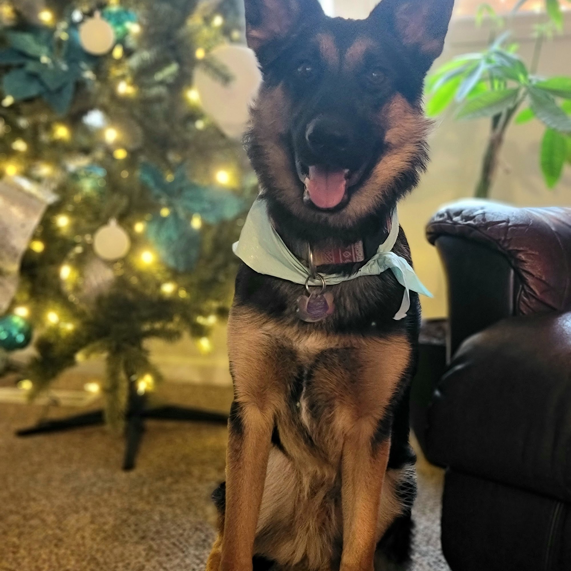 Big Hill Boarding Sturgis