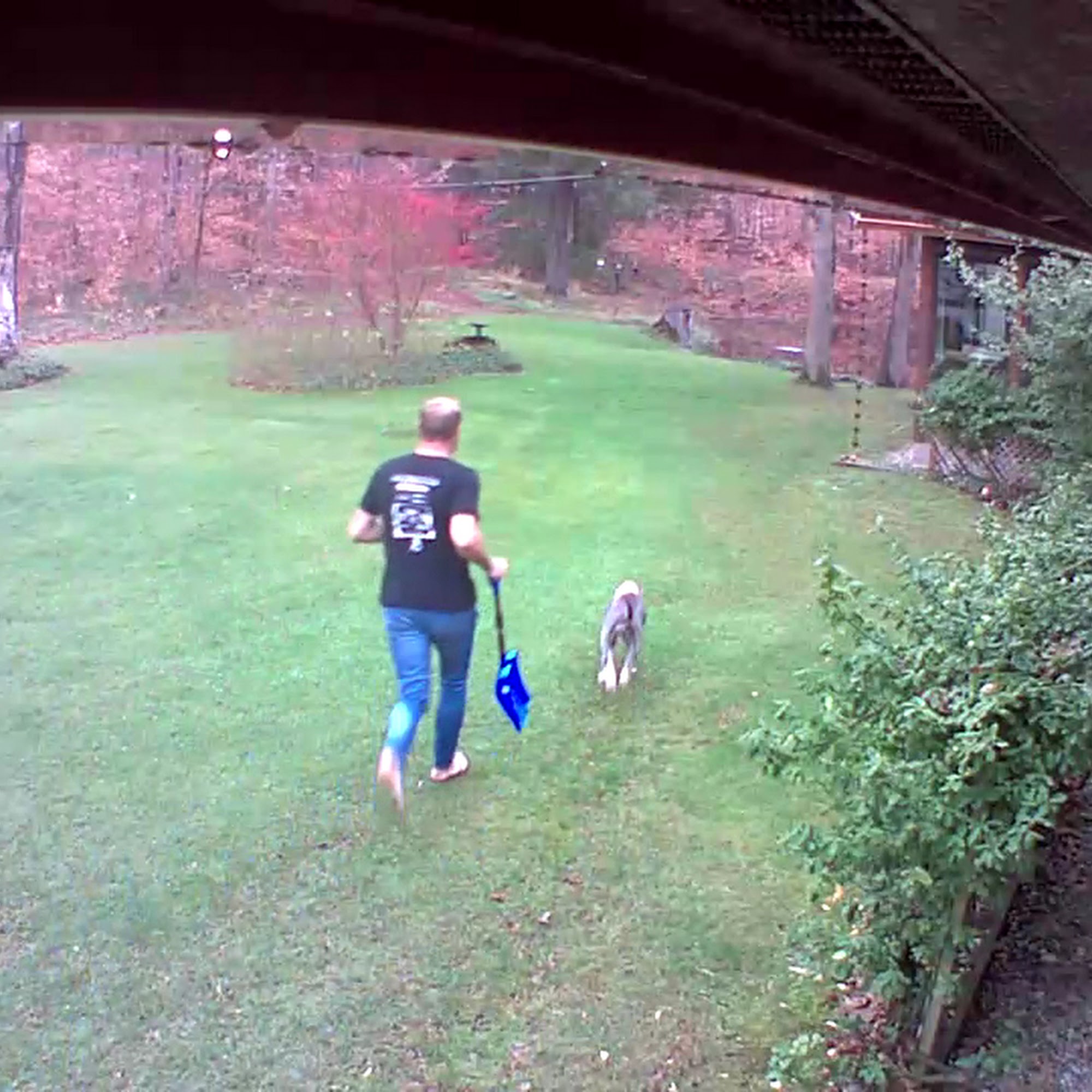 Suttons Bay Animal Hospital Suttons Bay