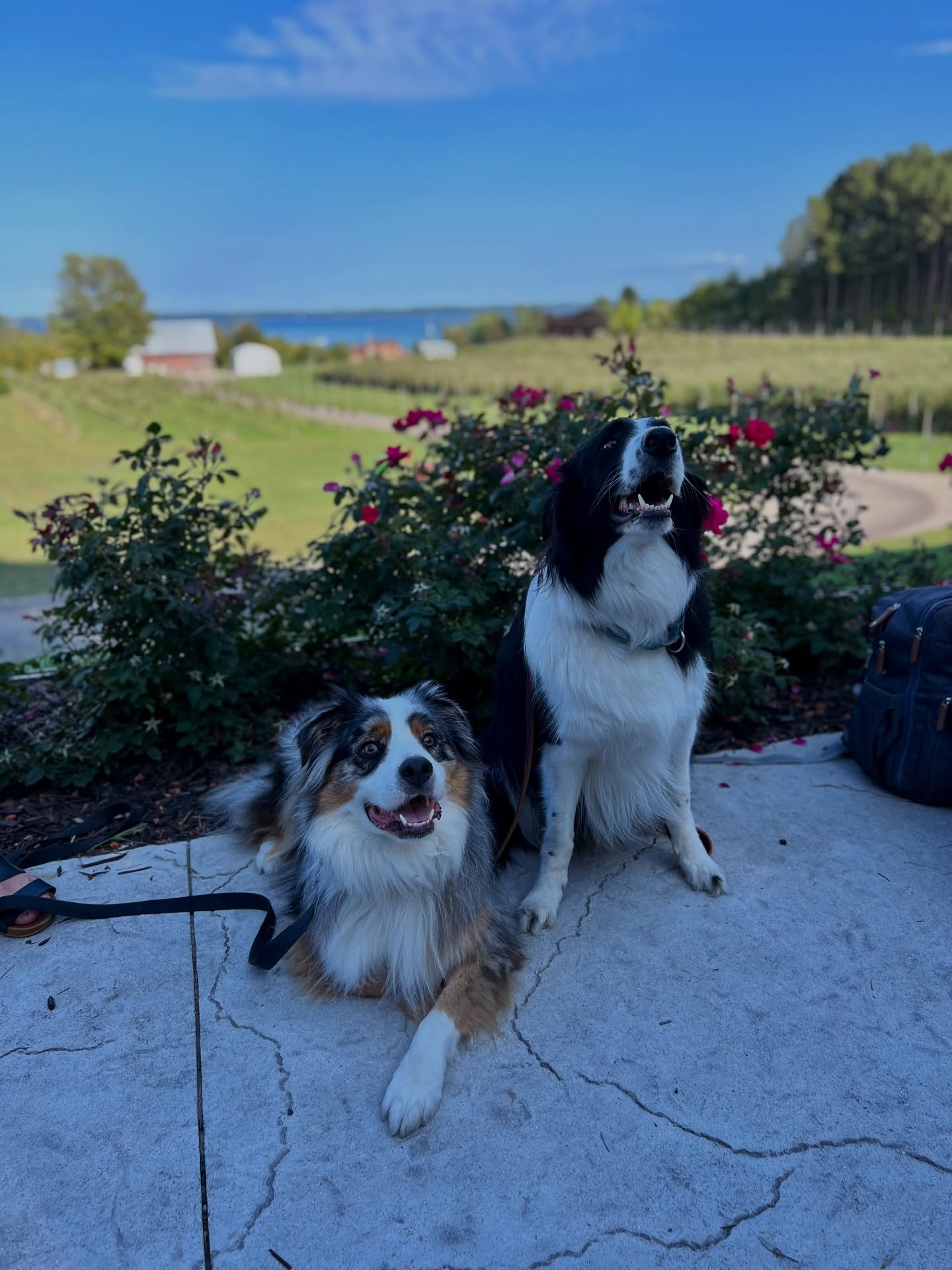 Two K Farms Cidery & Winery Suttons Bay