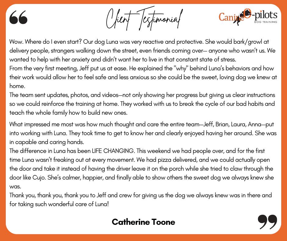 Canine Co-Pilots llc Swartz Creek