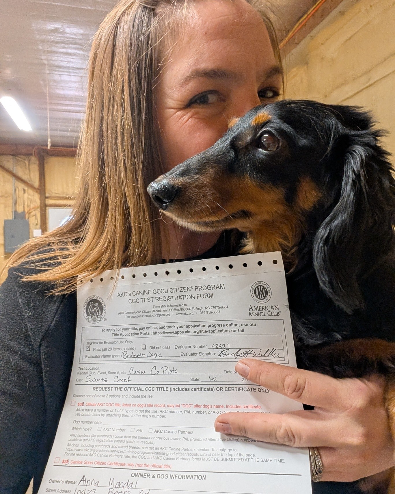 Canine Co-Pilots llc Swartz Creek