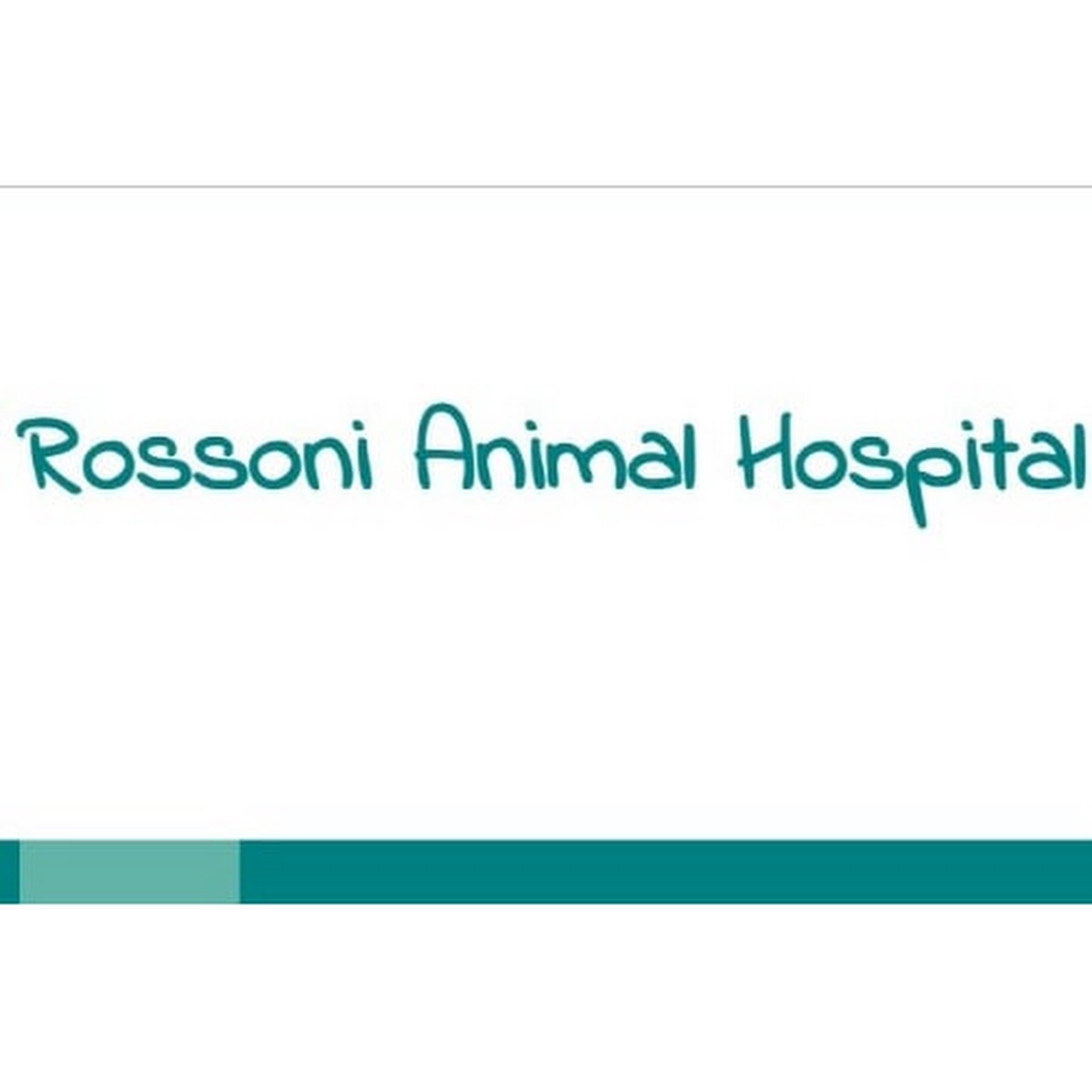 Rossoni Animal Hospital Taylor