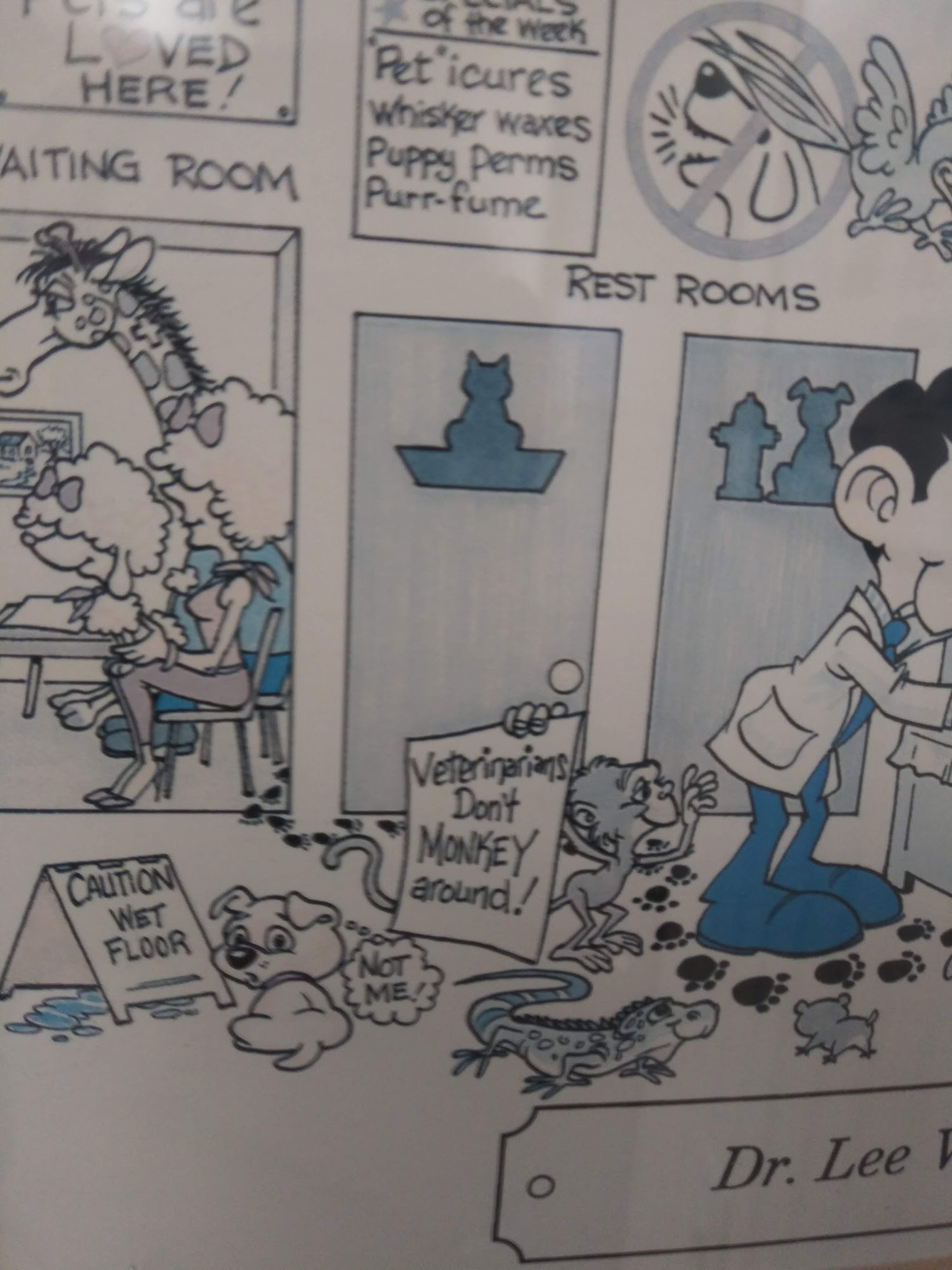 Three Oaks Veterinary Clinic Three Oaks