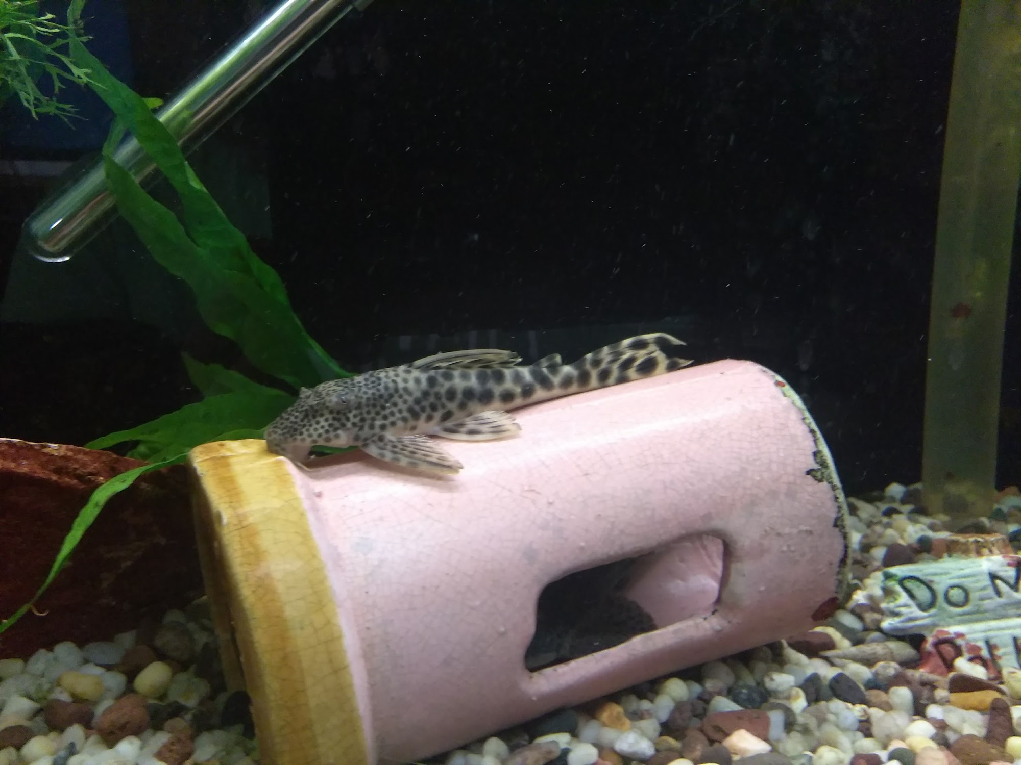 Great Lakes Aquarium House Three Rivers