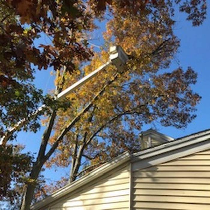 Photo credit: nextdoor