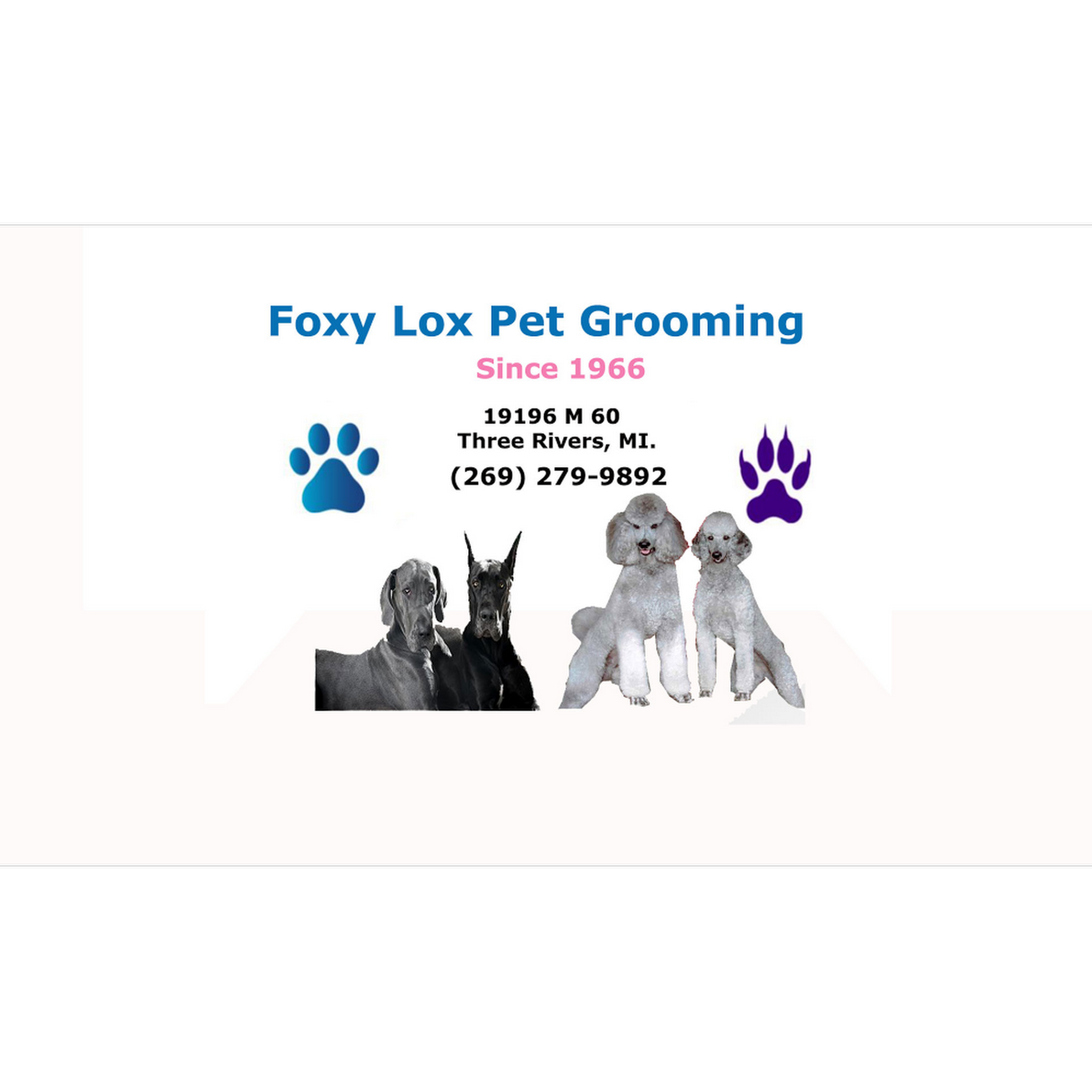 Foxylox Pet Grooming Three Rivers