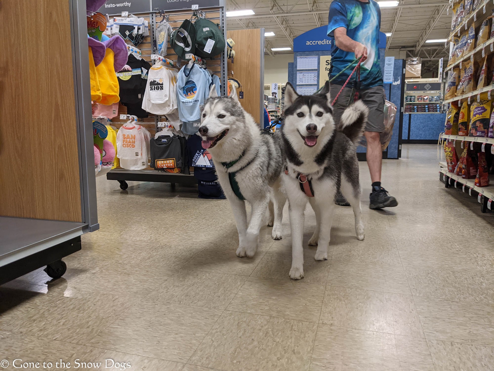 PetSmart Traverse City