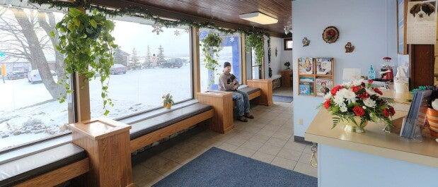 Animal Medical Center of Traverse City Traverse City