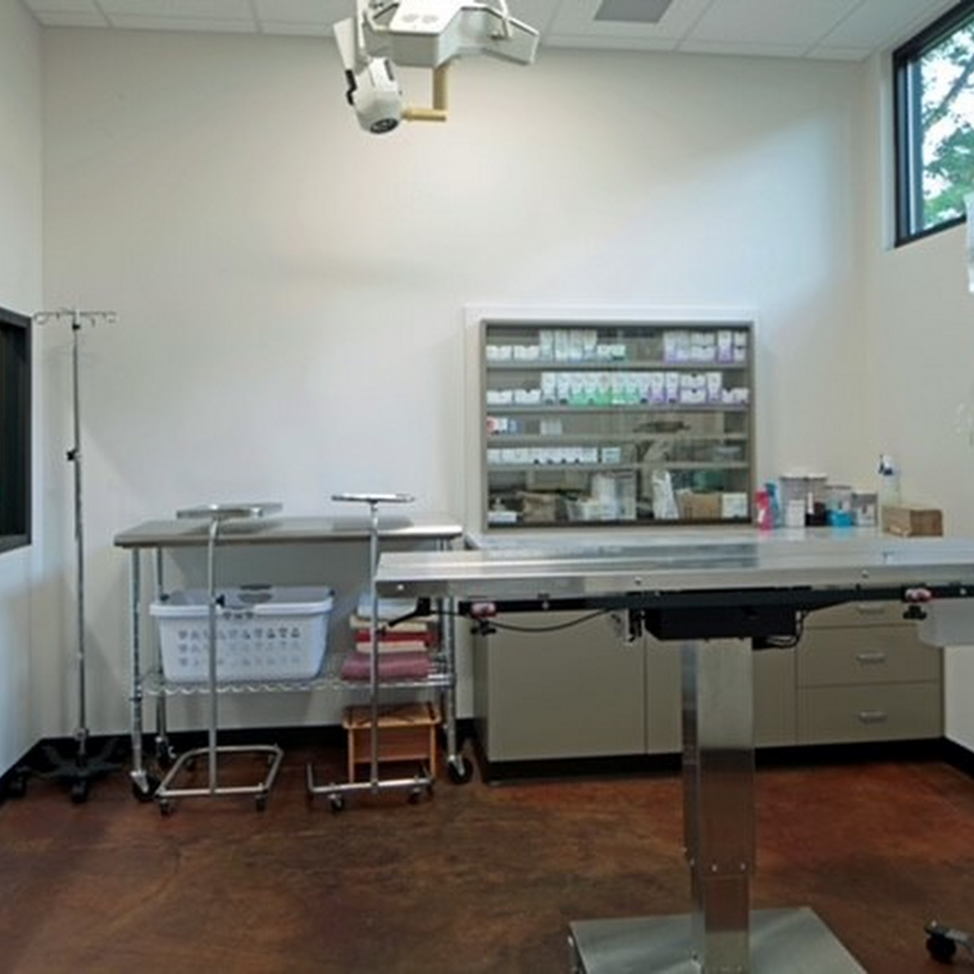 Oakwood Veterinary Hospital Traverse City