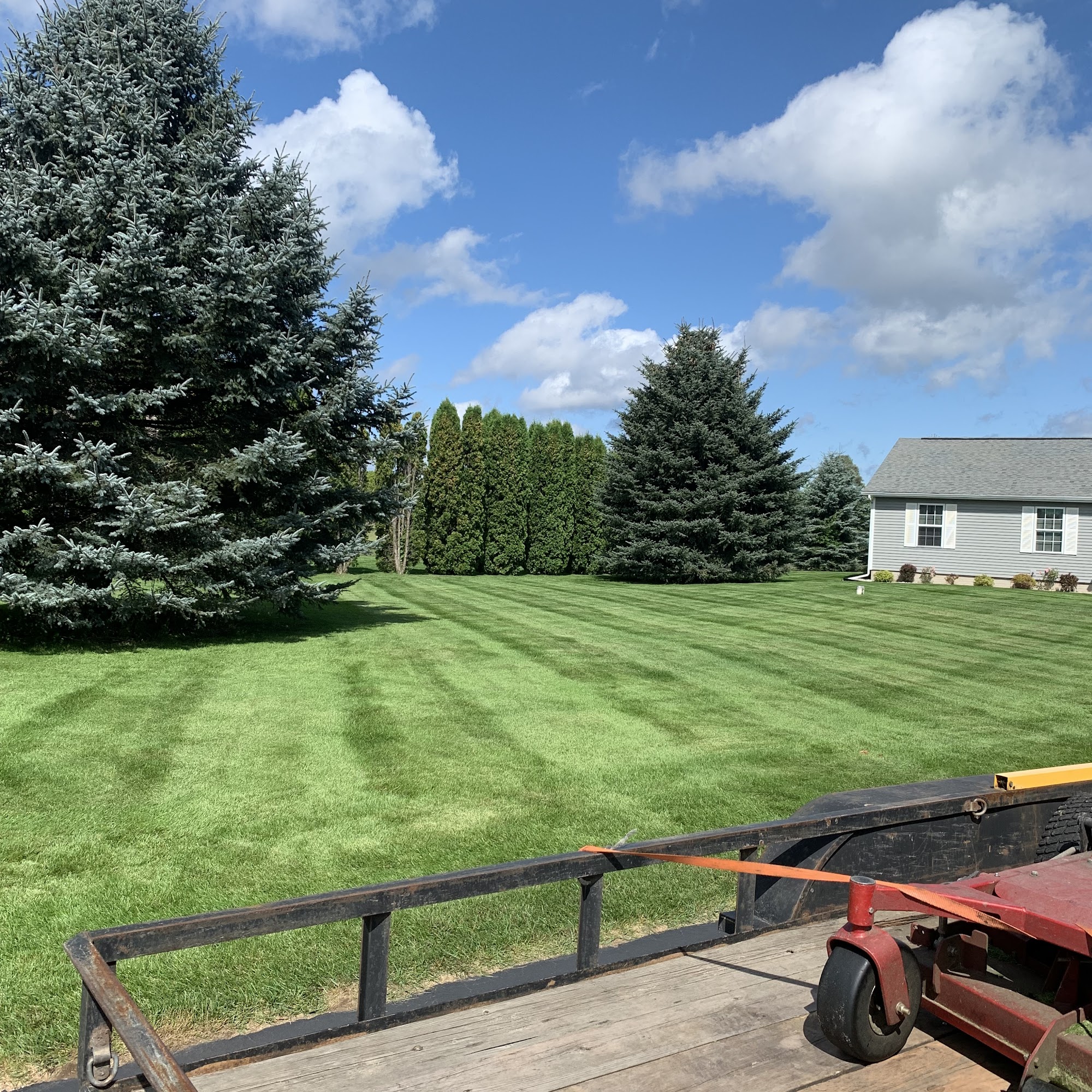 Wilson Lawn&Grounds