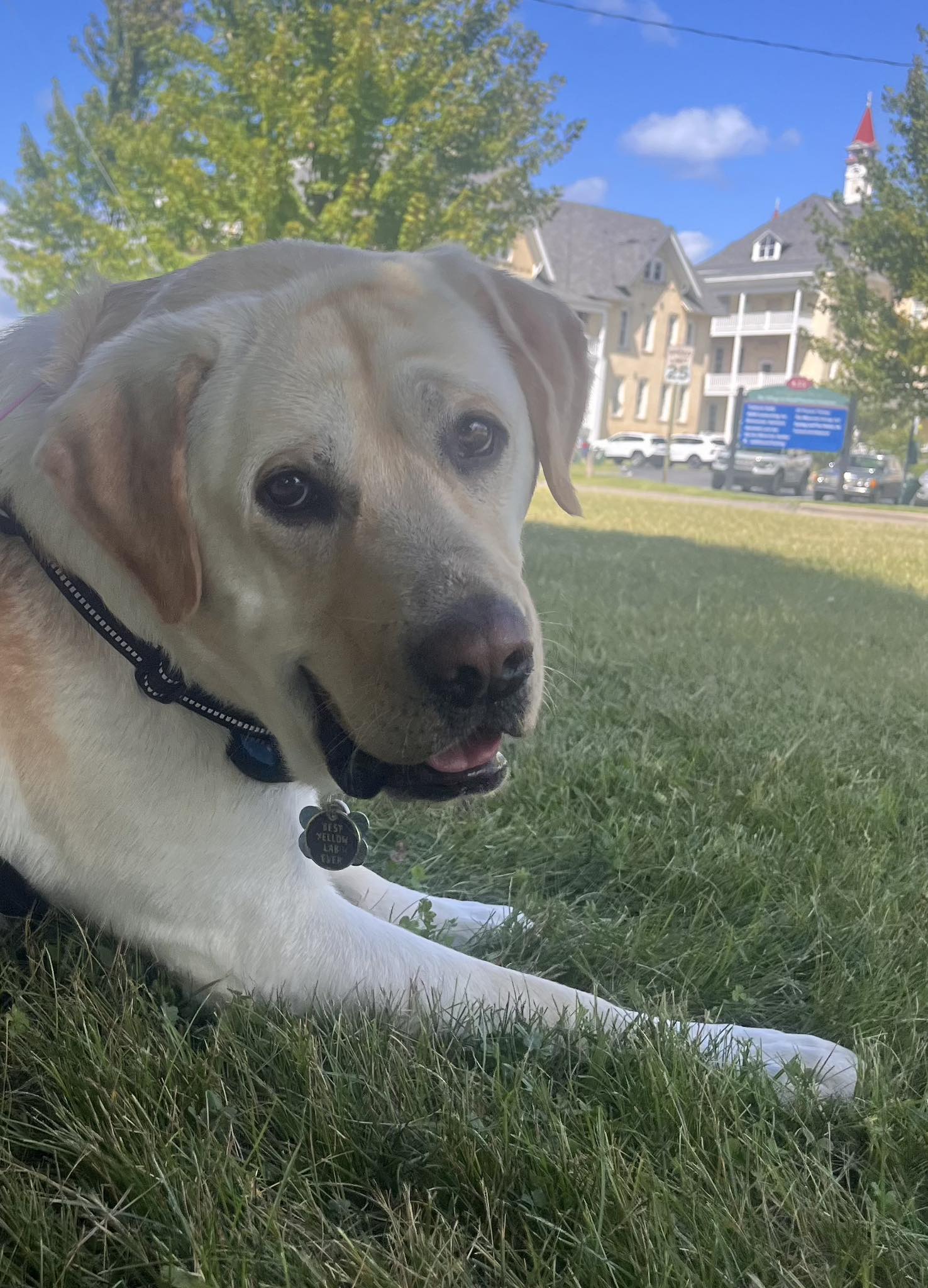 The Daily Grind Coffee Drive Thru Traverse City