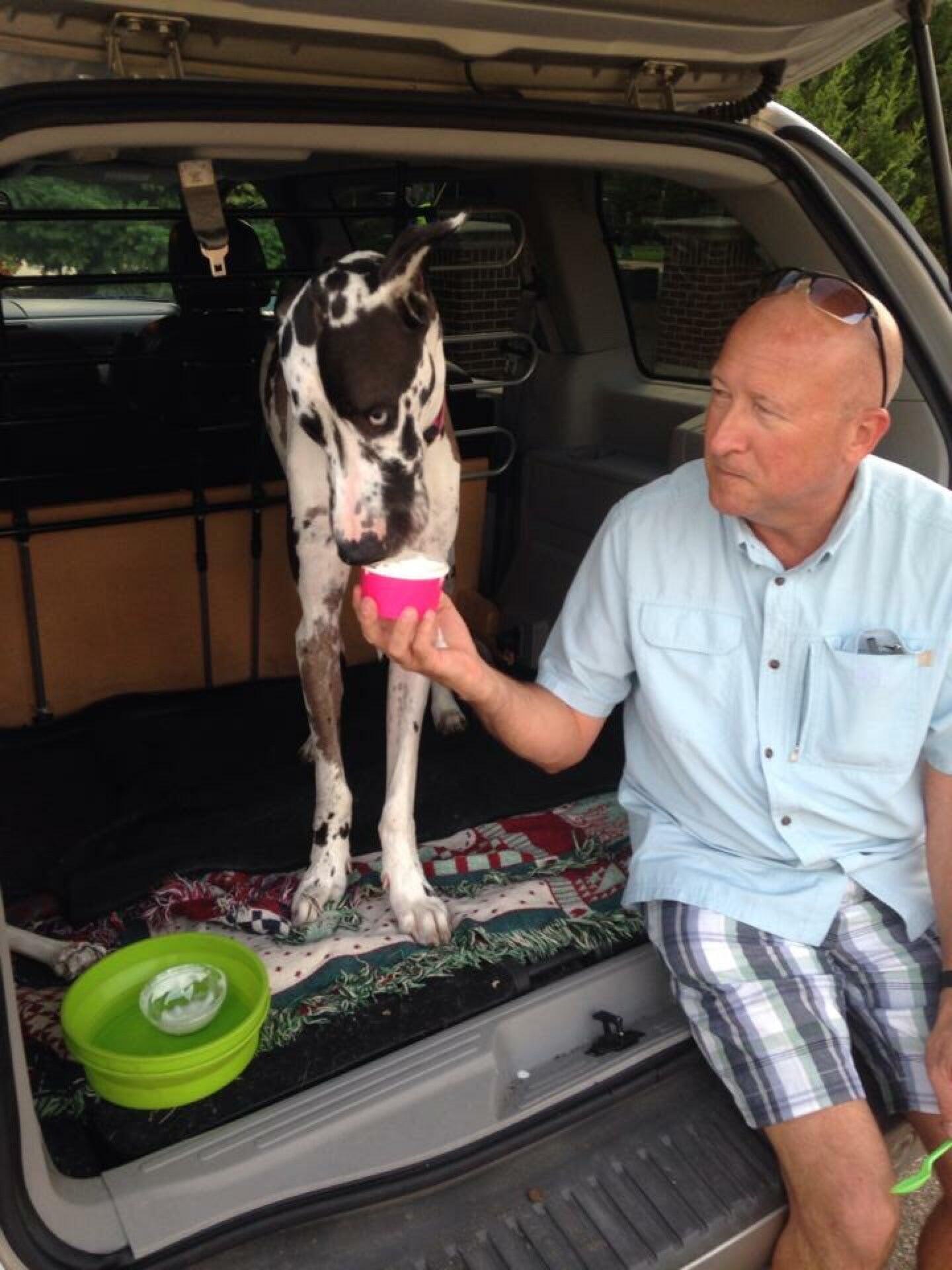 Photo credit: nextdoor