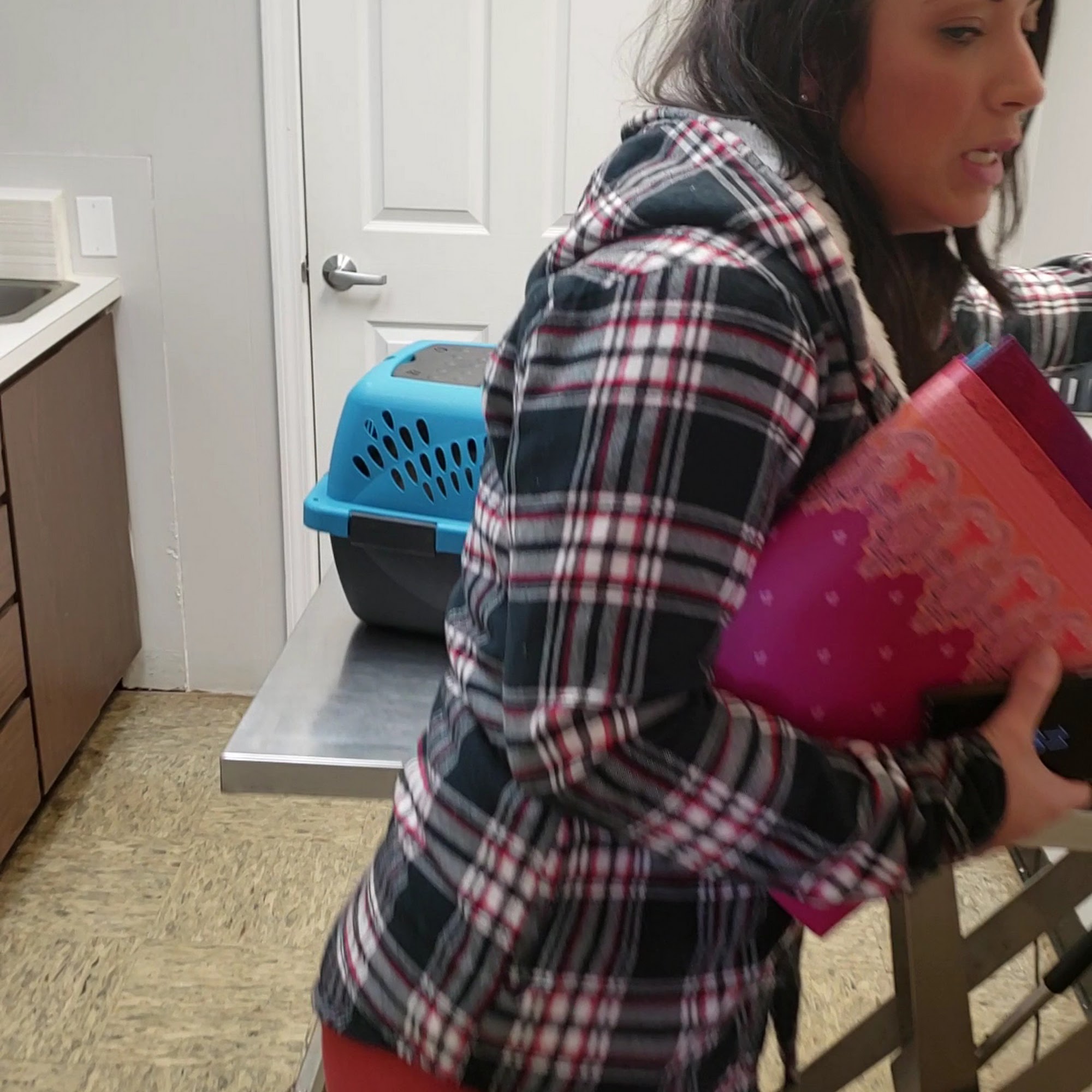 Long Lake Animal Hospital & Lakeside Pet Resort Troy