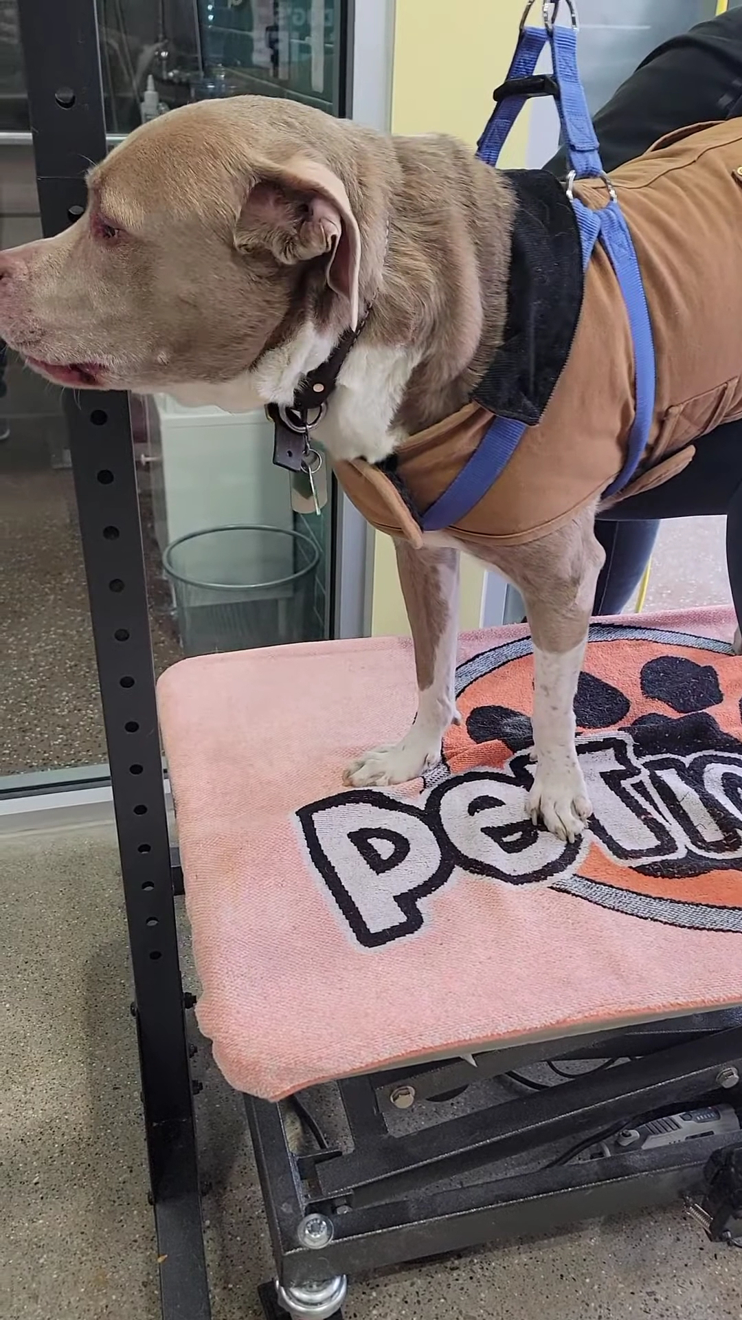 Premier Pet Supply Troy