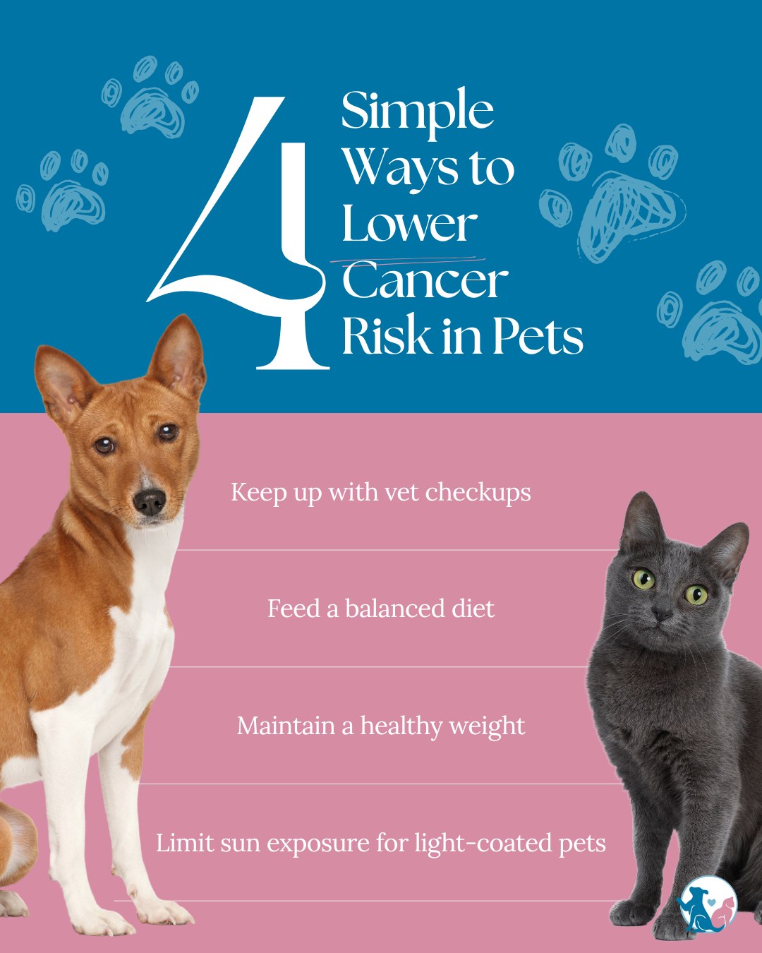 Troy & Heights Animal Hospital Troy