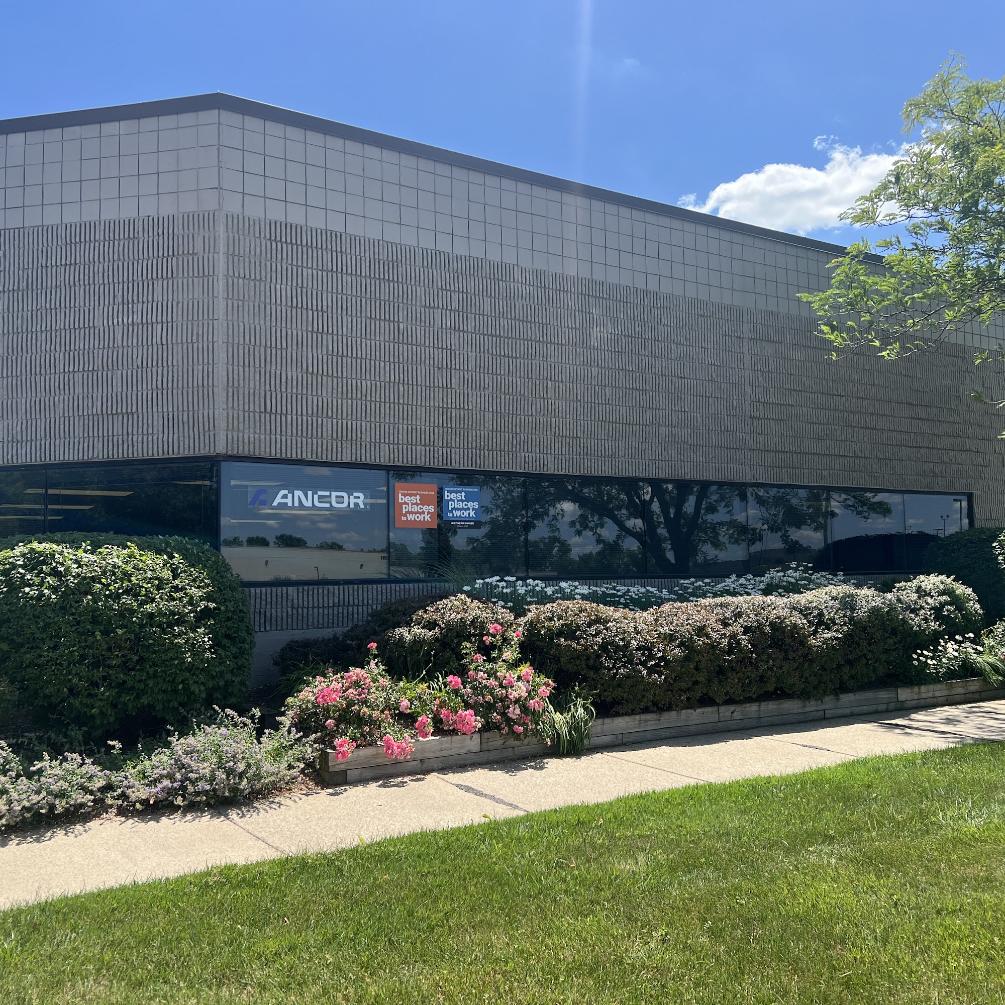 Ancor Automotive Division Troy