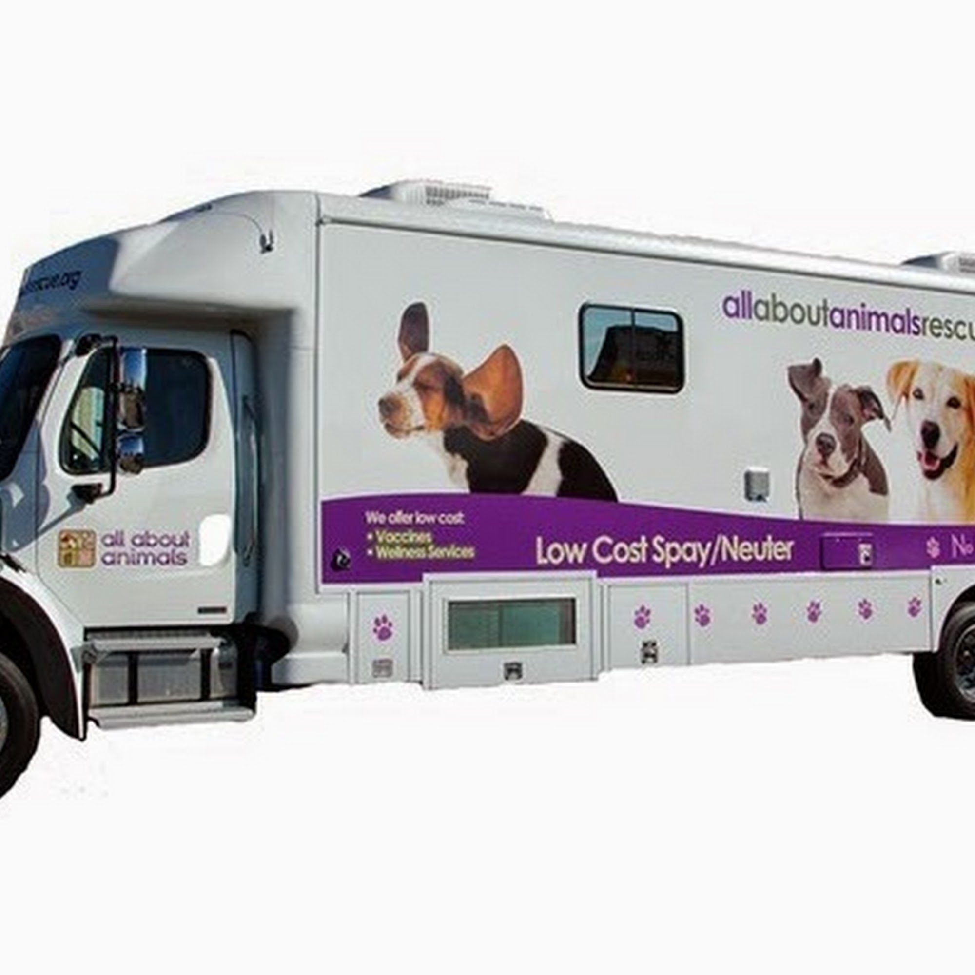 All About Animals Rescue Warren