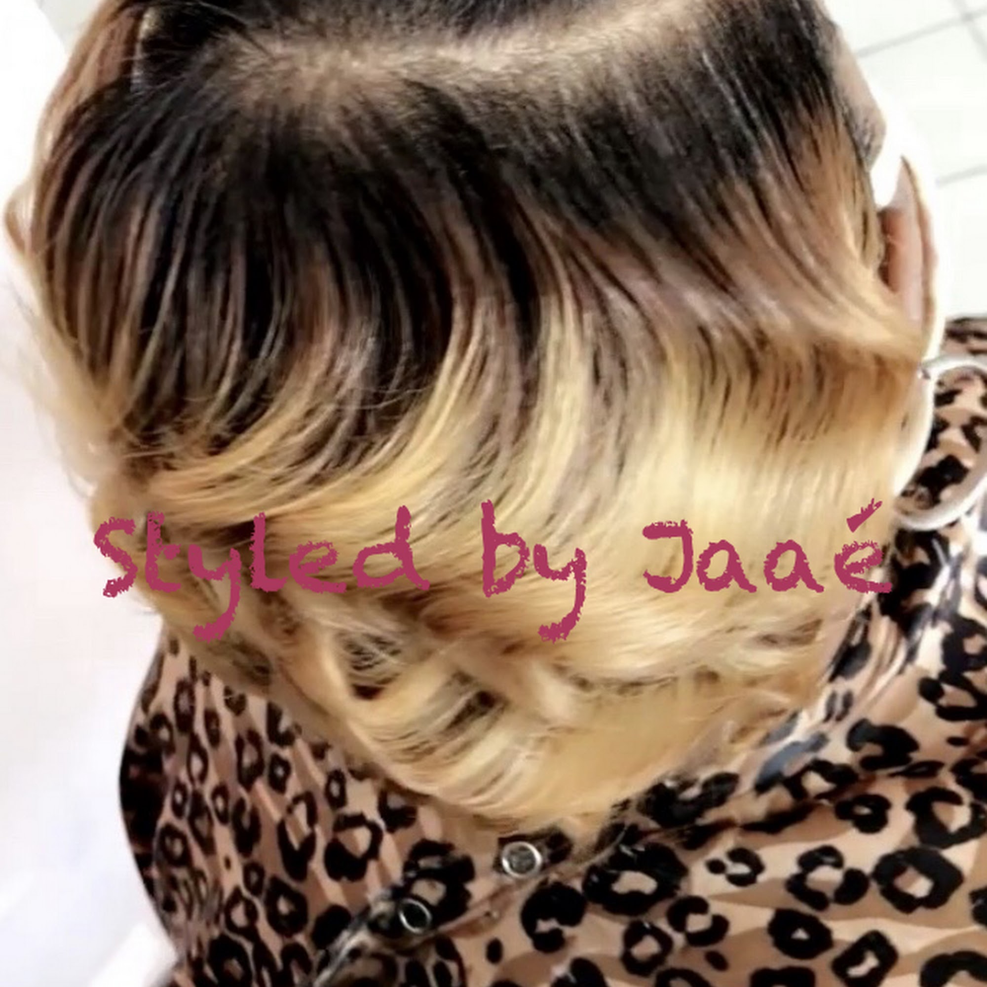 Menzie Salon and Spa 22912 Ryan Rd, Warren Michigan 48091