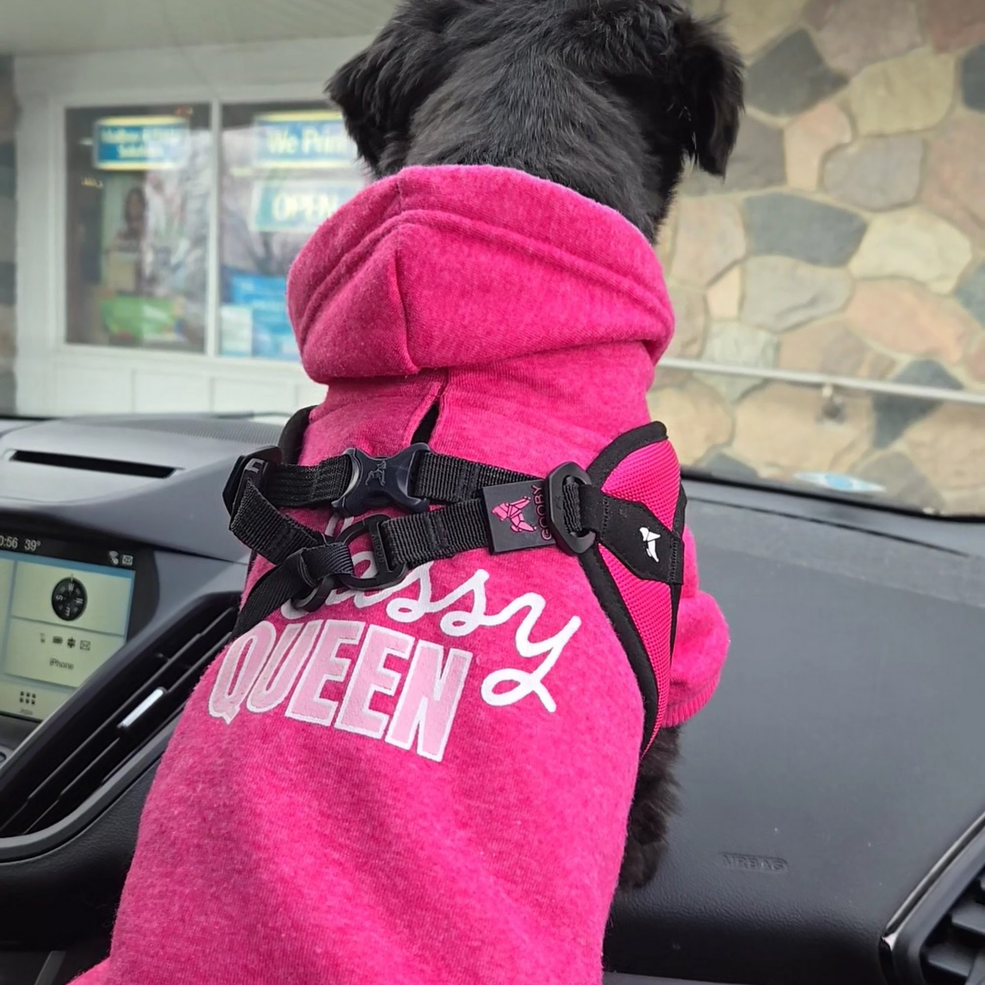 Stony Creek Veterinary Hospital Washington