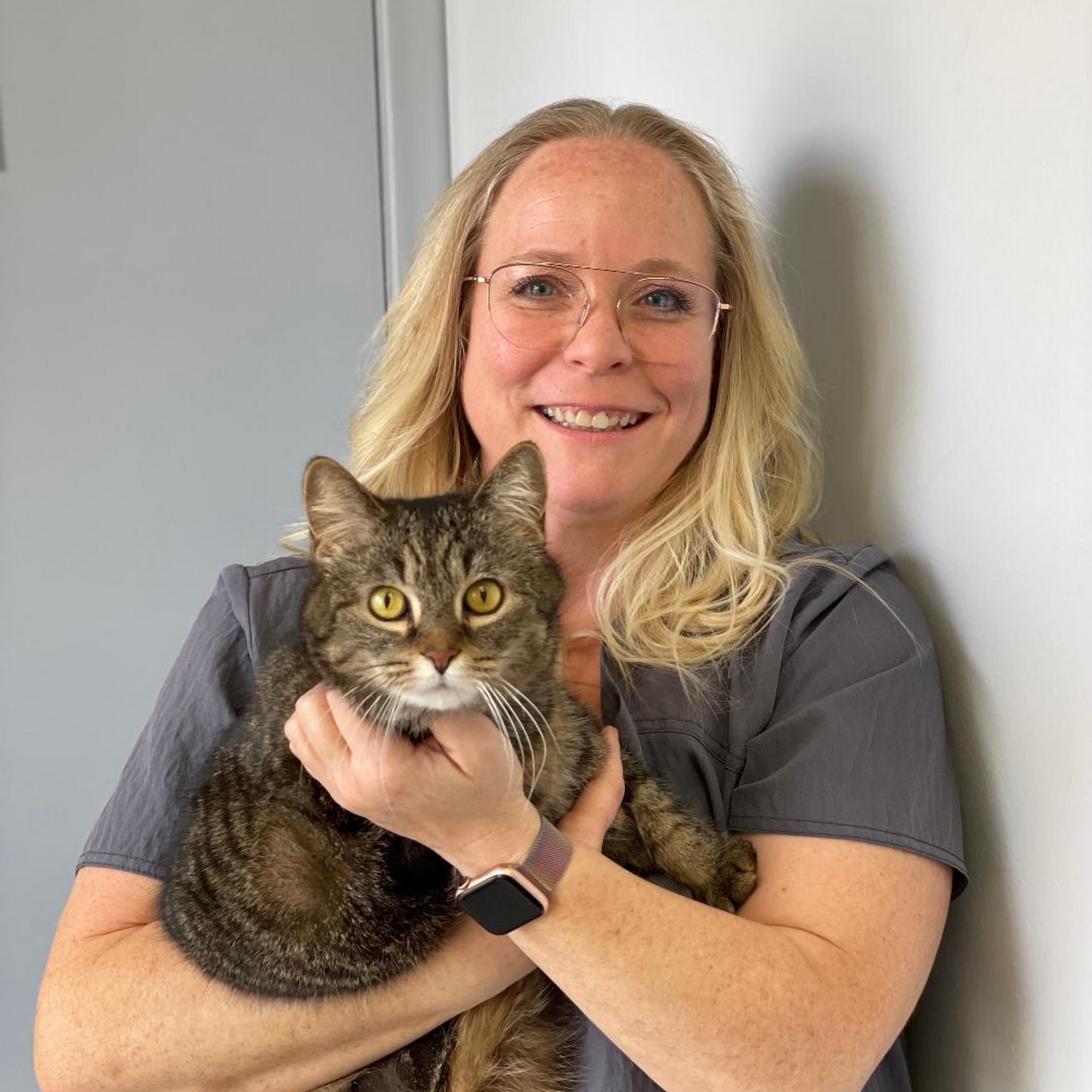 Pet Authority Animal Hospital Waterford