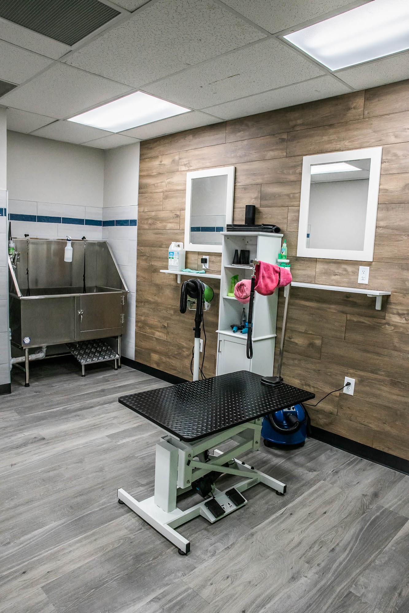 Companion Pet Lodge Waterford