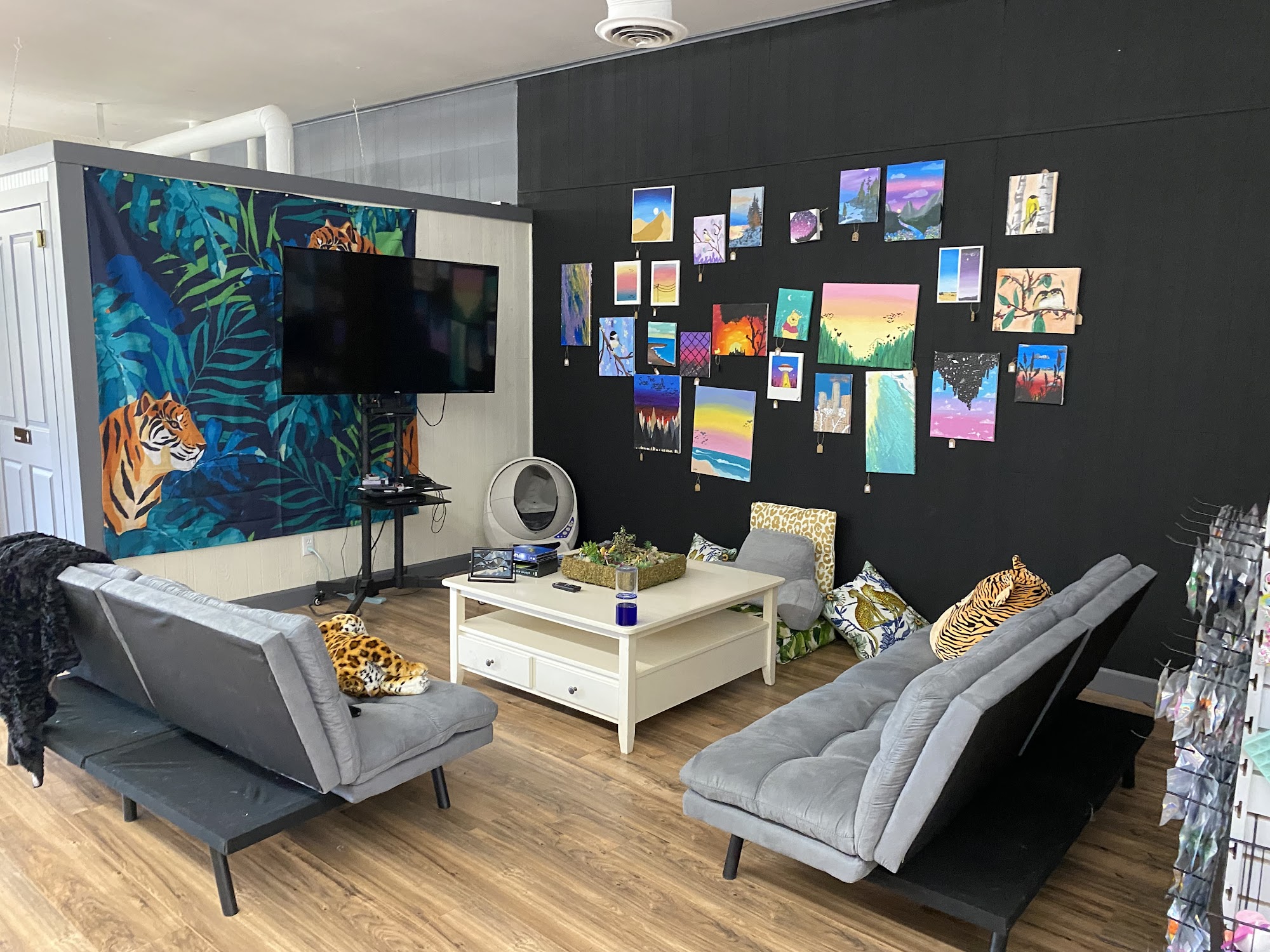 The Catz Den with Country Cat Lady Wayland