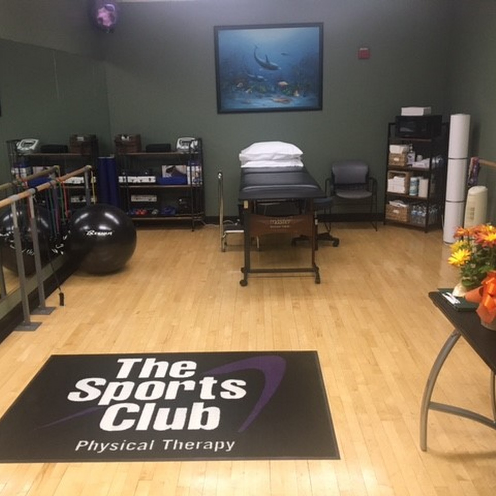 The Sports Club Physical Therapy of West Bloomfield