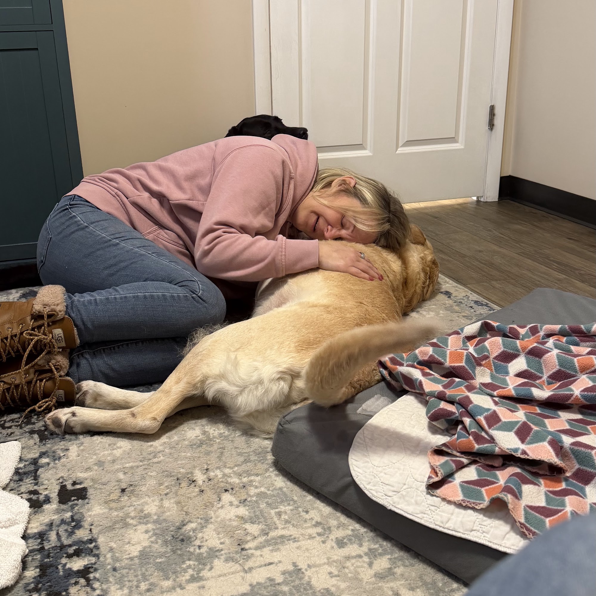 Compassionate Veterinary Care West Branch