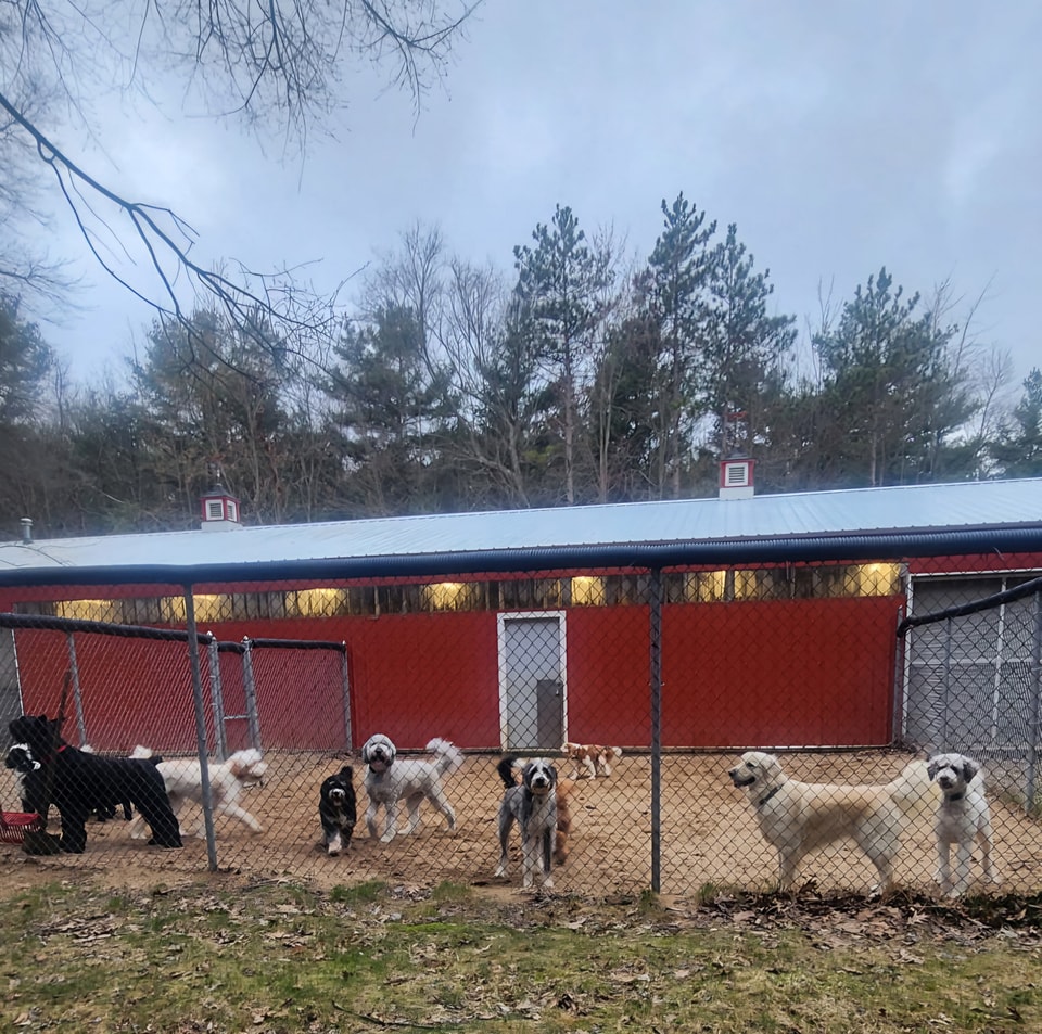 Pine Hill Farm Pet Care West Olive