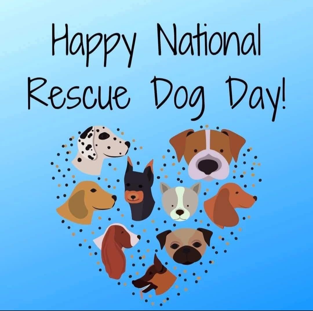 Pine Hill Farm Pet Care West Olive