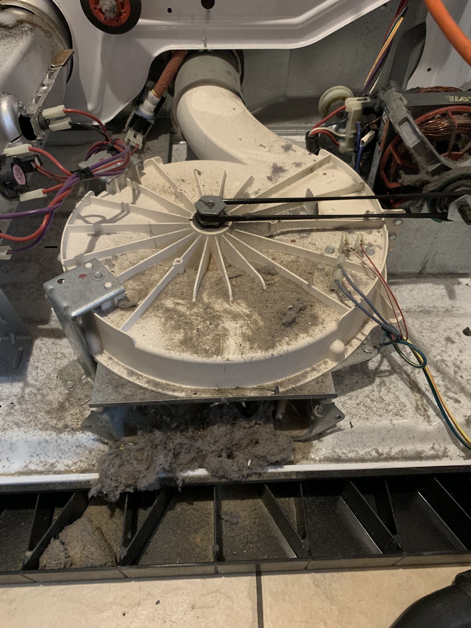 Repairs by Josh West Olive