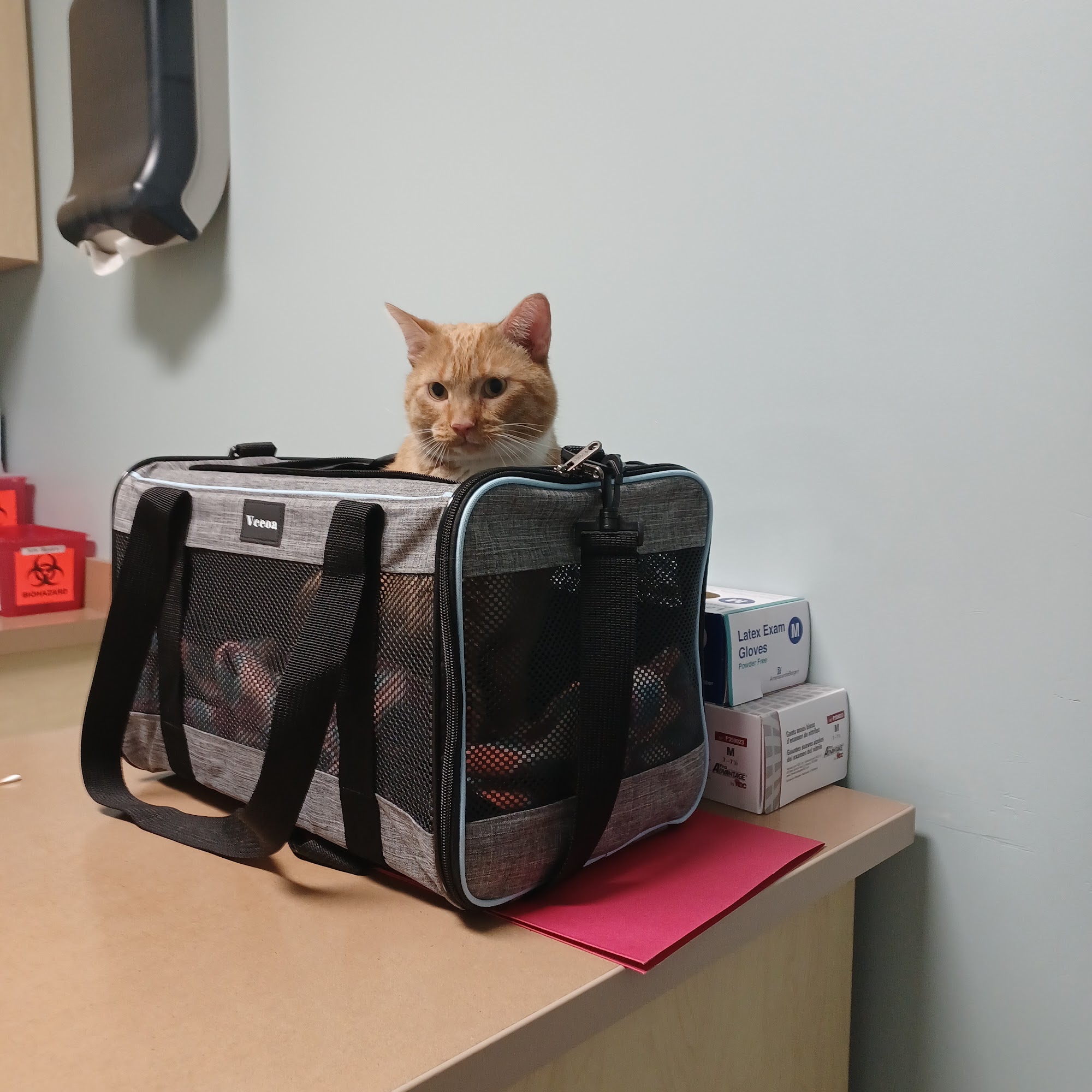 Whitehall Pet Practice Whitehall