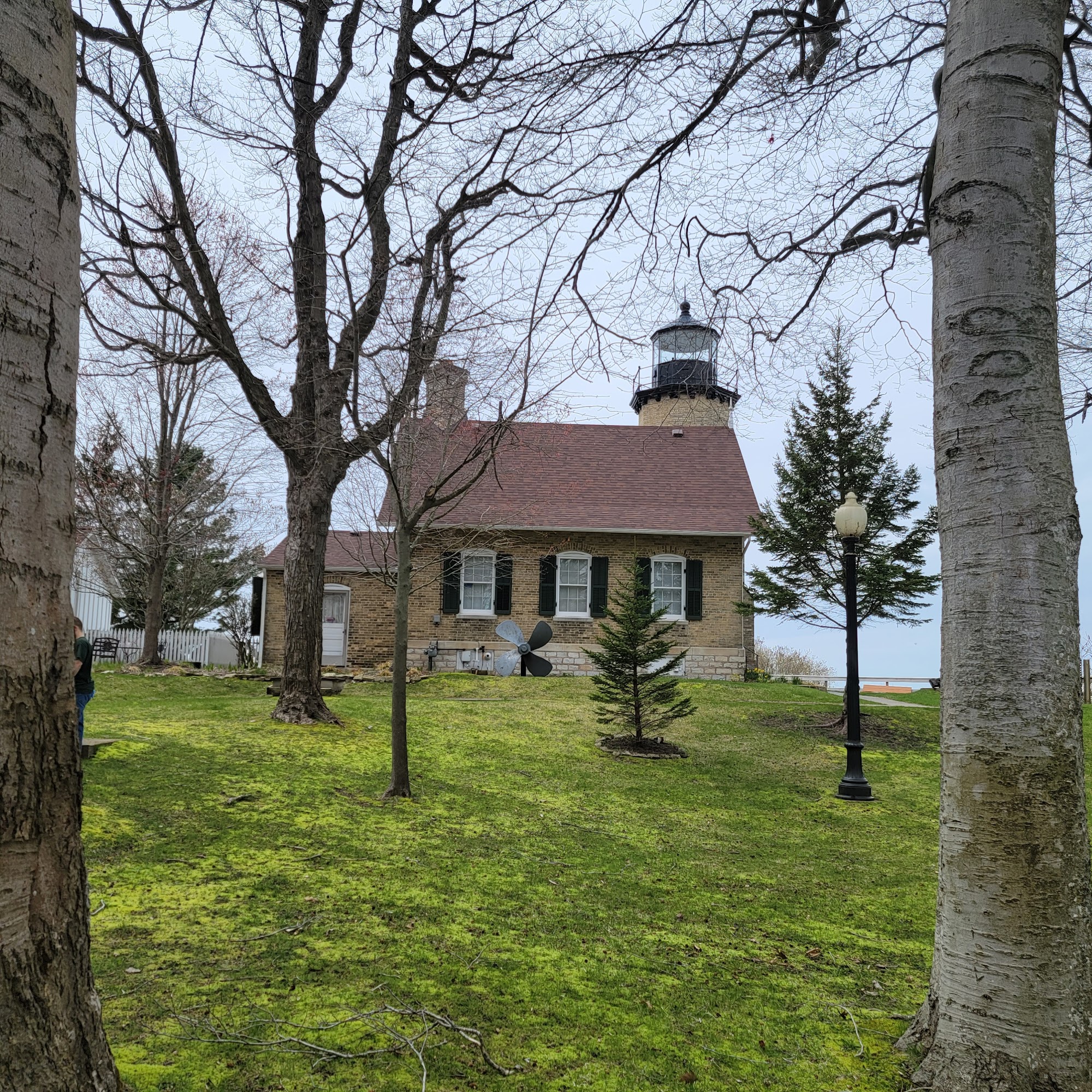 The Water's Edge Whitehall