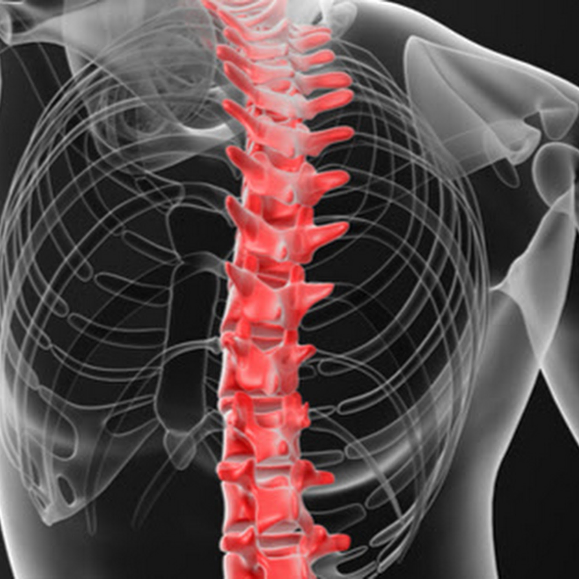 White Lake Chiropractic 1030 S Mears Ave, Whitehall Michigan 49461